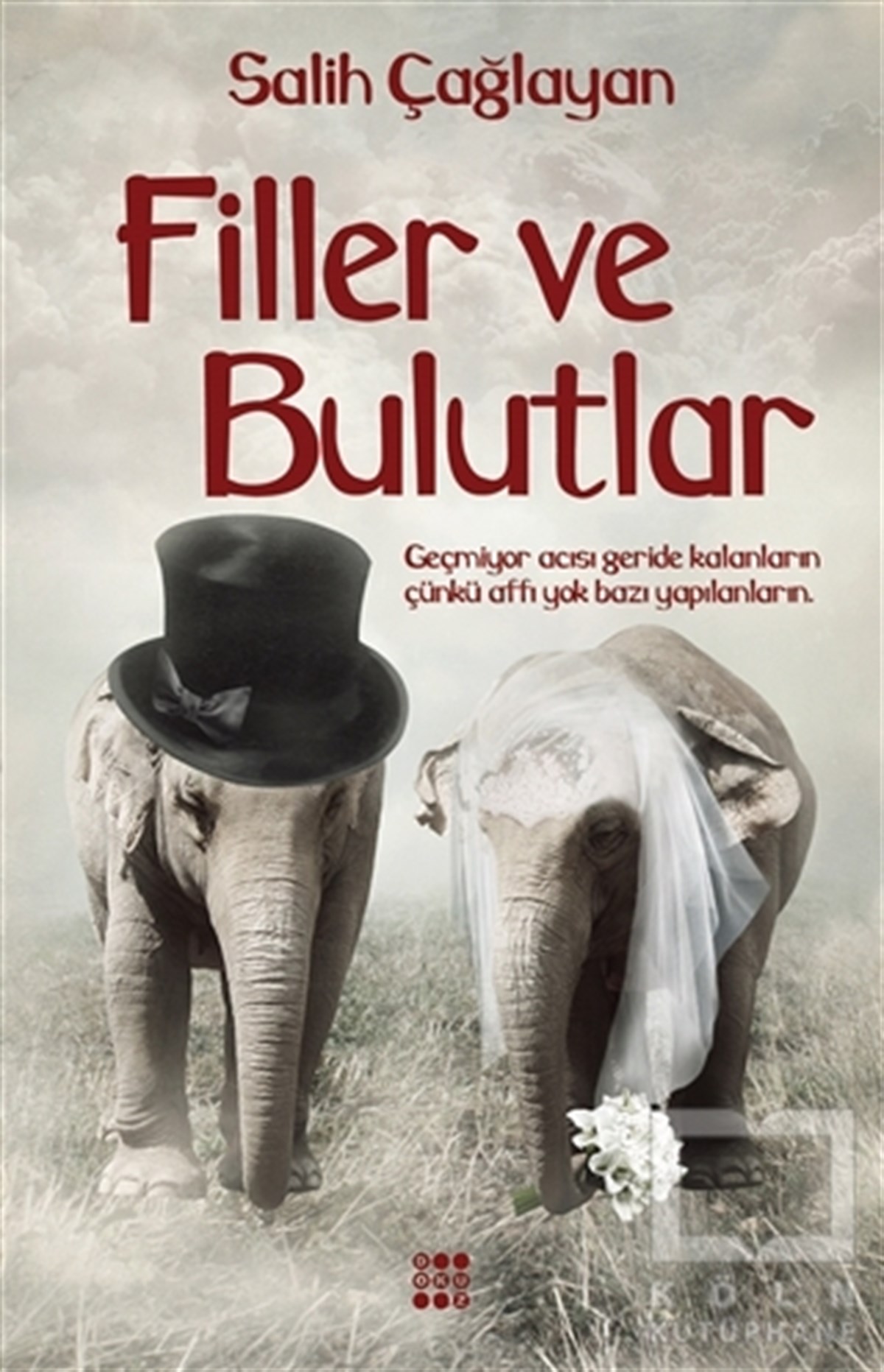Salih ÇağlayanDenemeFiller ve Bulutlar
