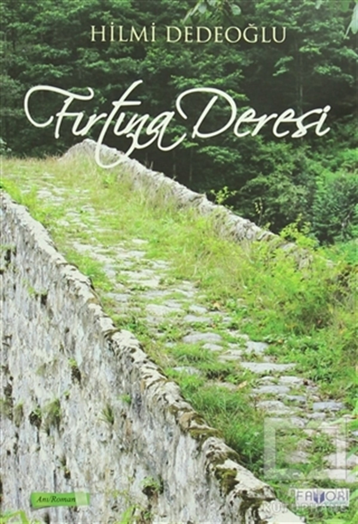 Hilmi DedeoğluAnı - Mektup - GünlükFırtına Deresi