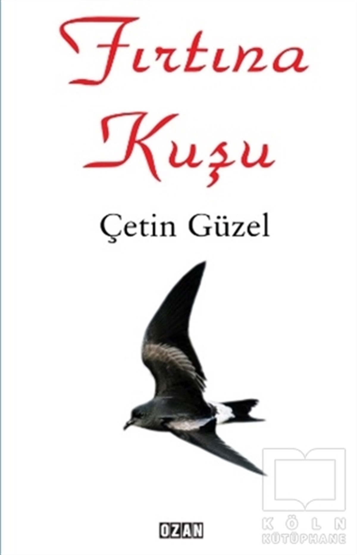 Çetin GüzelAnı - Mektup - GünlükFırtına Kuşu
