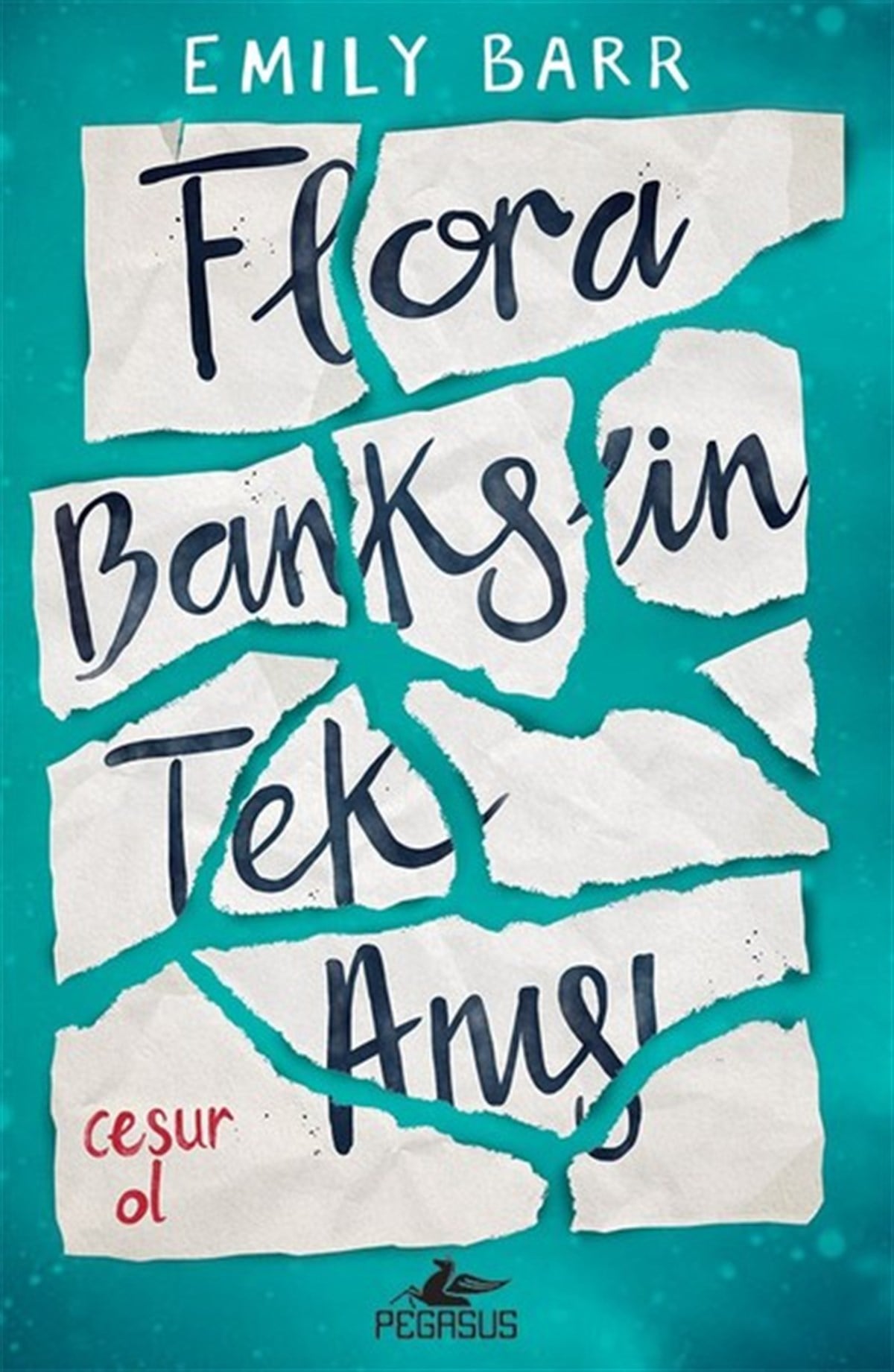 Emily BarrDünya RomanFlora Banks'in Tek Anısı