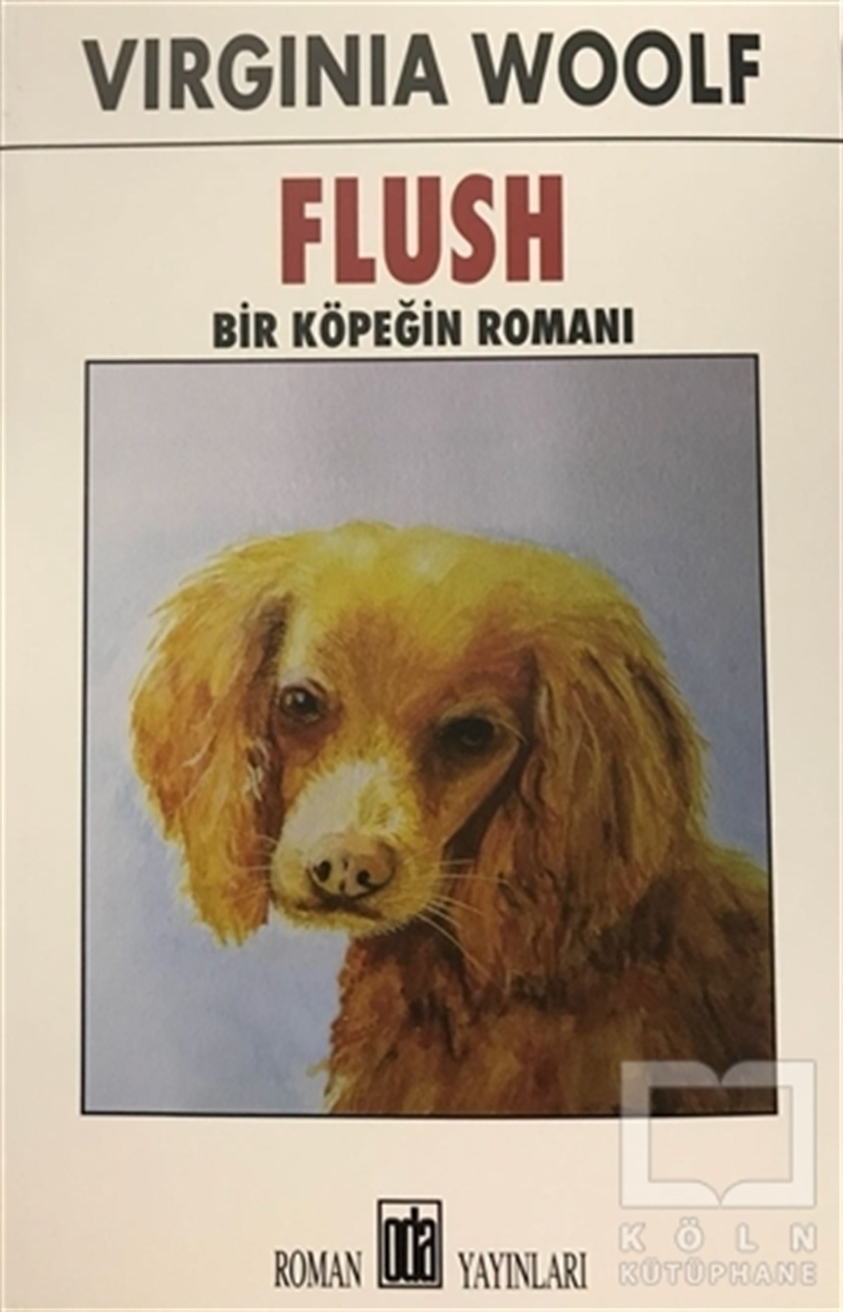Virginia WoolfRomanFlush - Bir Köpeğin Romanı