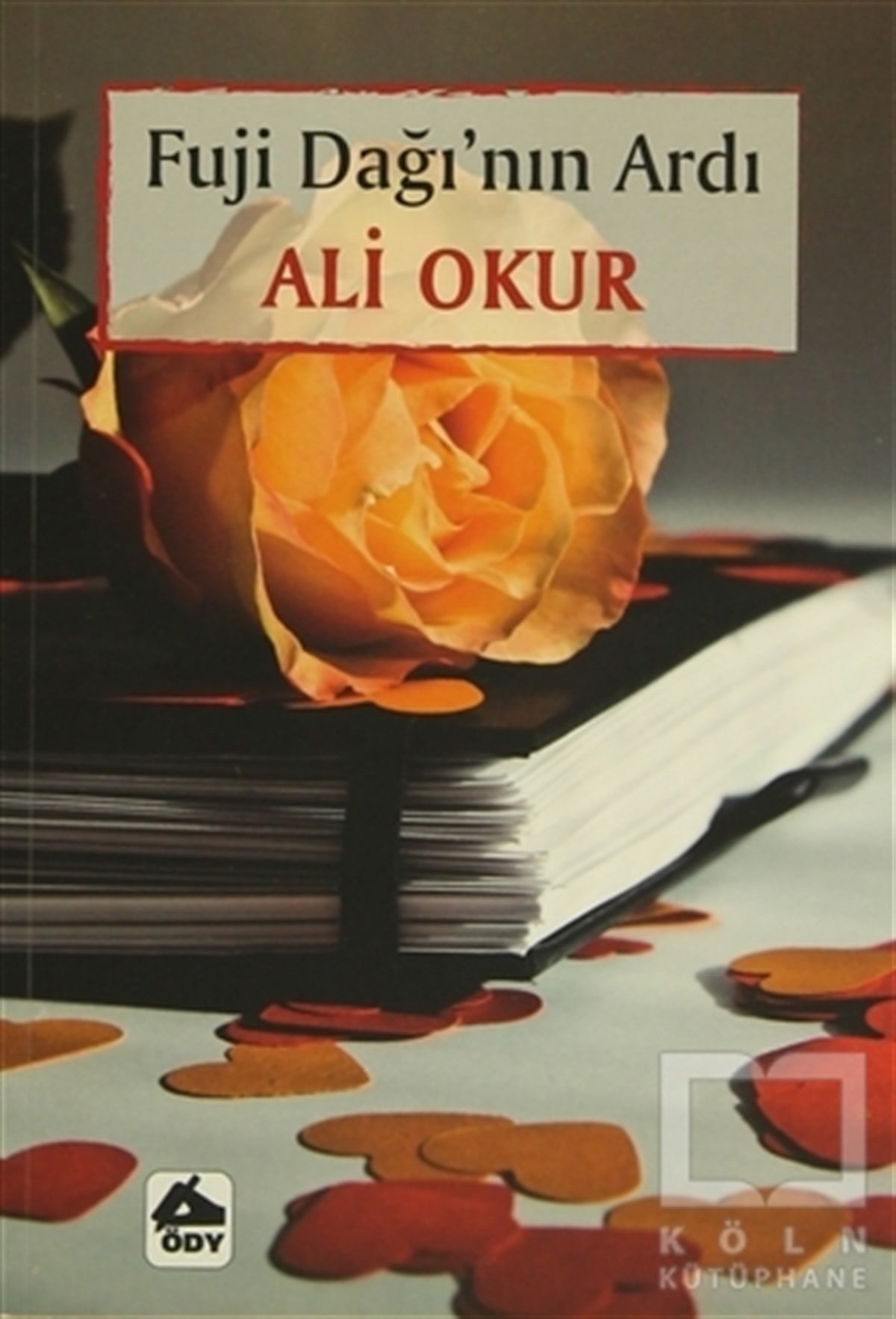 Ali OkurDenemeFuji Dağı'nın Ardı