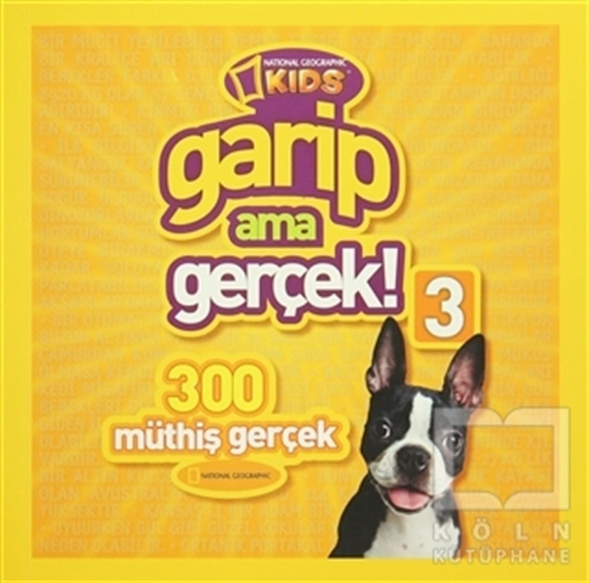 KolektifZeka GelişimiGarip Ama Gerçek 3