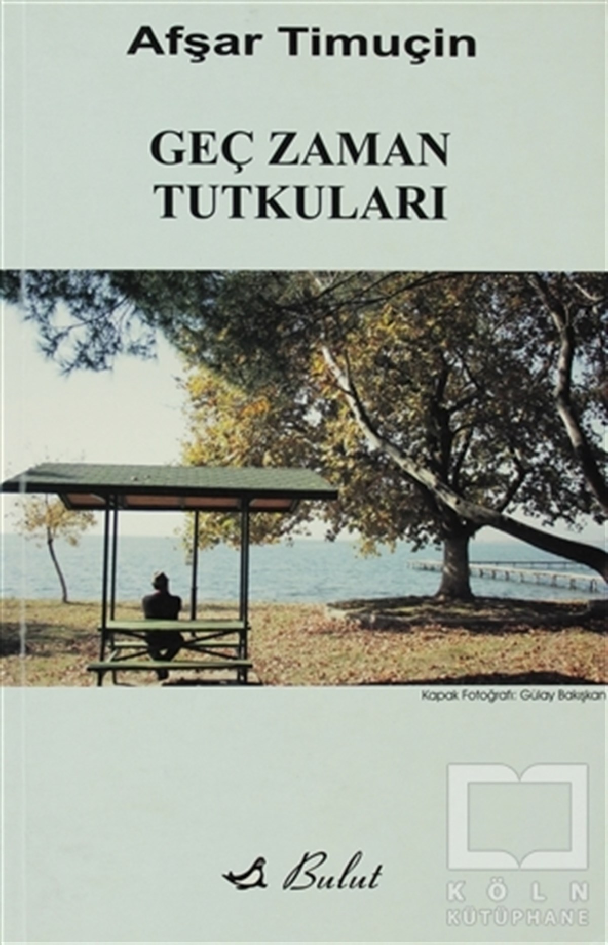 Afşar TimuçinÖyküGeç Zaman Tutkuları