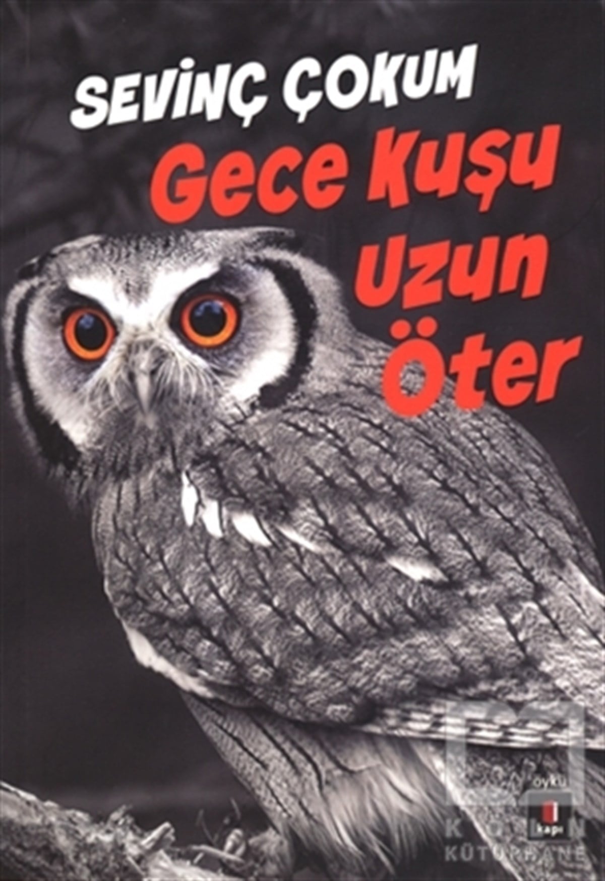 Sevinç ÇokumÖyküGece Kuşu Uzun Öter