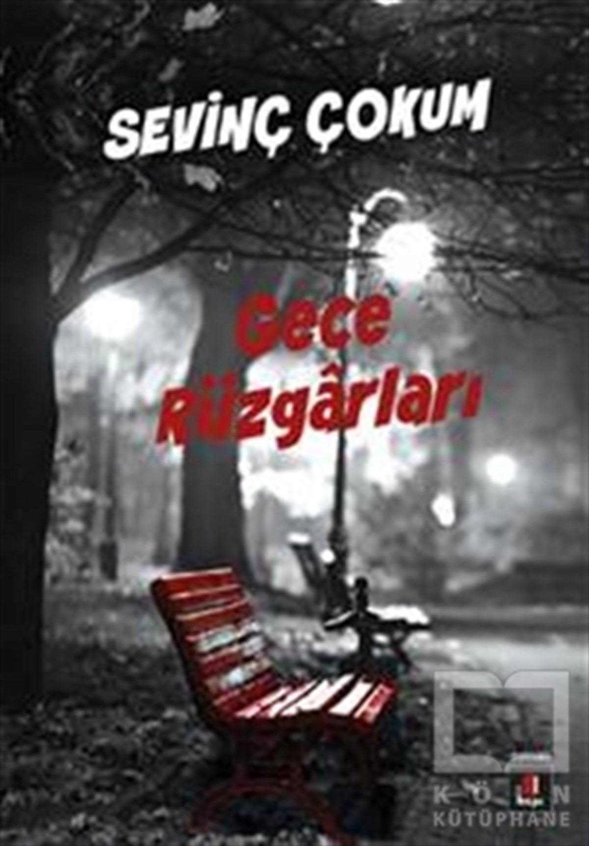 Sevinç ÇokumRomanGece Rüzgarları