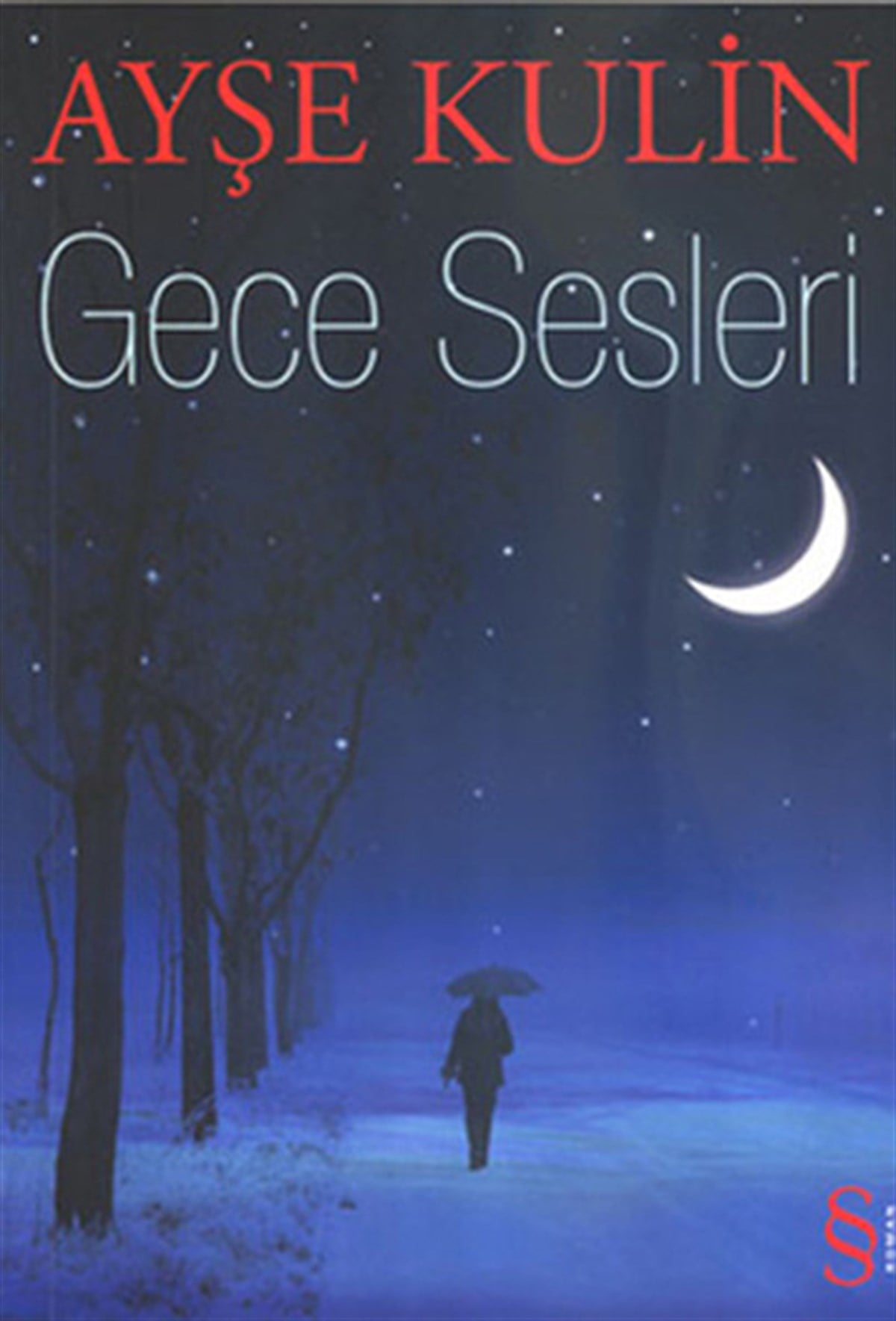Ayşe KulinTürkiye RomanGece Sesleri