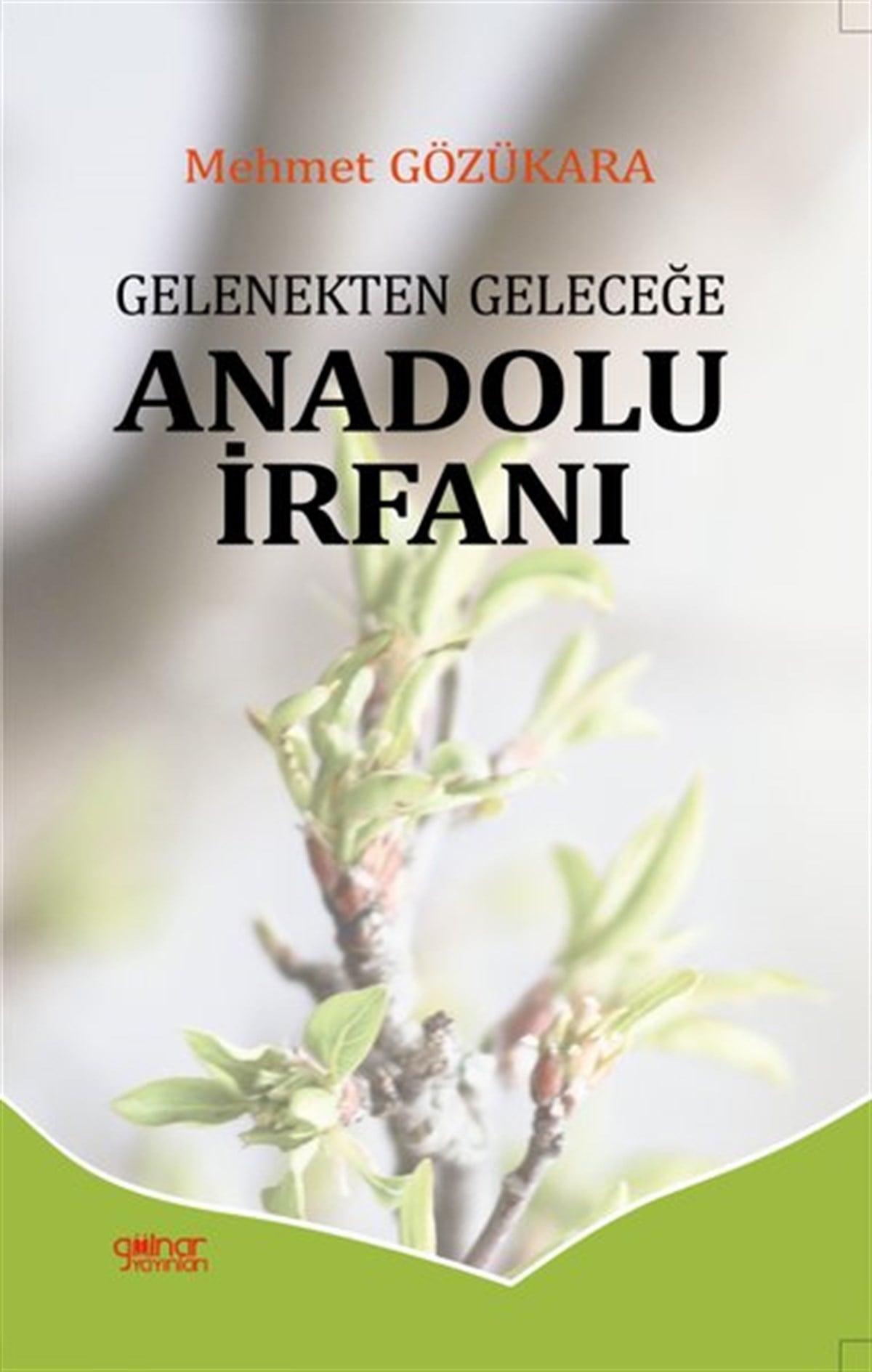 Mehmet GözükaraDeneme KitaplarıGelenekten Geleceğe Anadolu İrfanı
