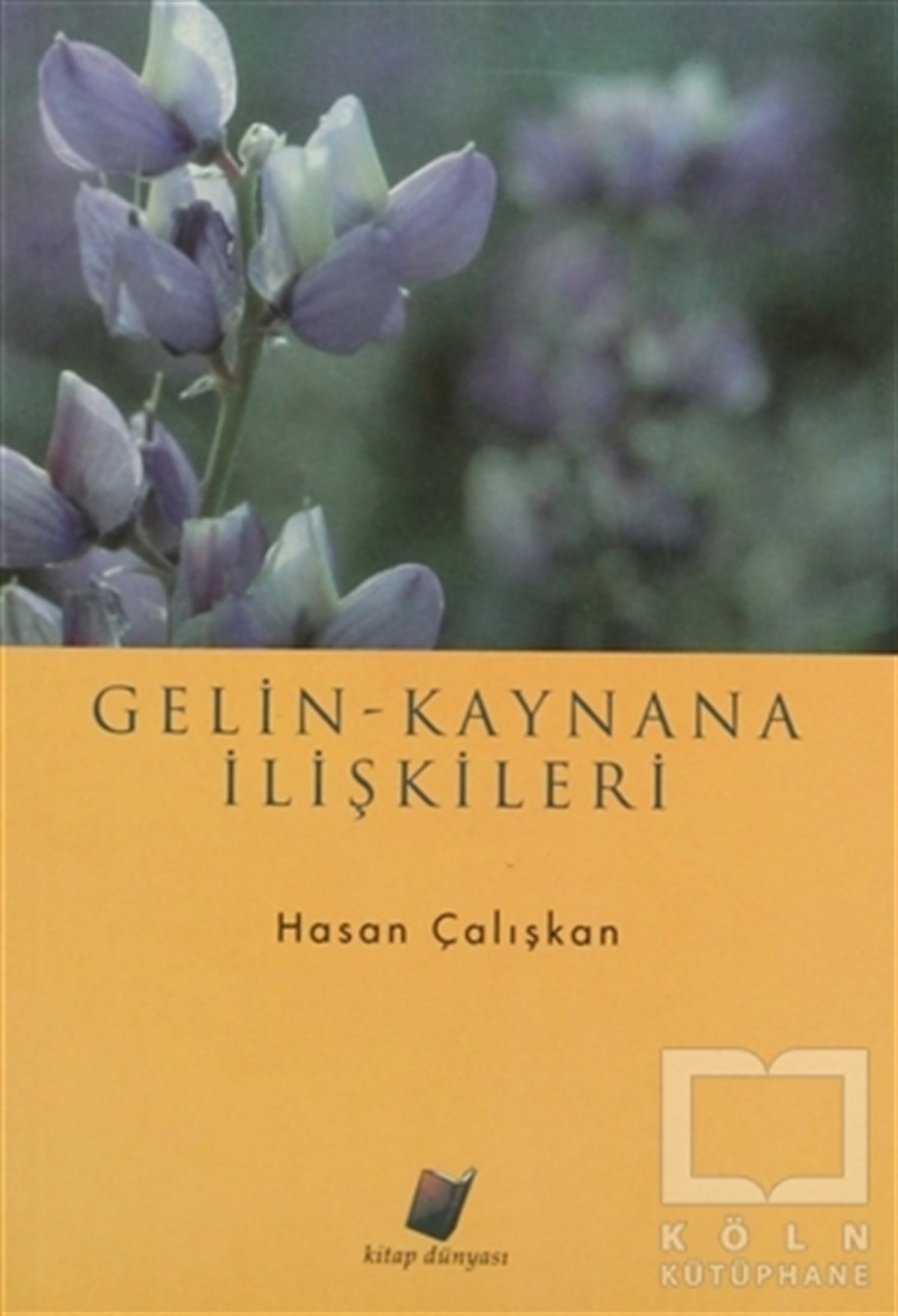 Hasan ÇalışkanDiğerGelin - Kaynana İlişkileri