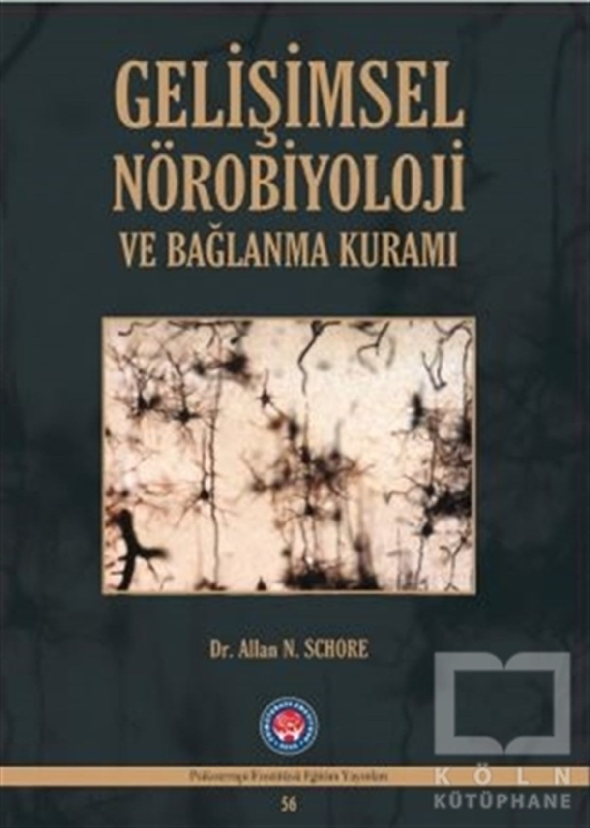 Allan N. SchoreDiğerGelişimsel Nörobiyoloji ve Bağlanma Kuramı
