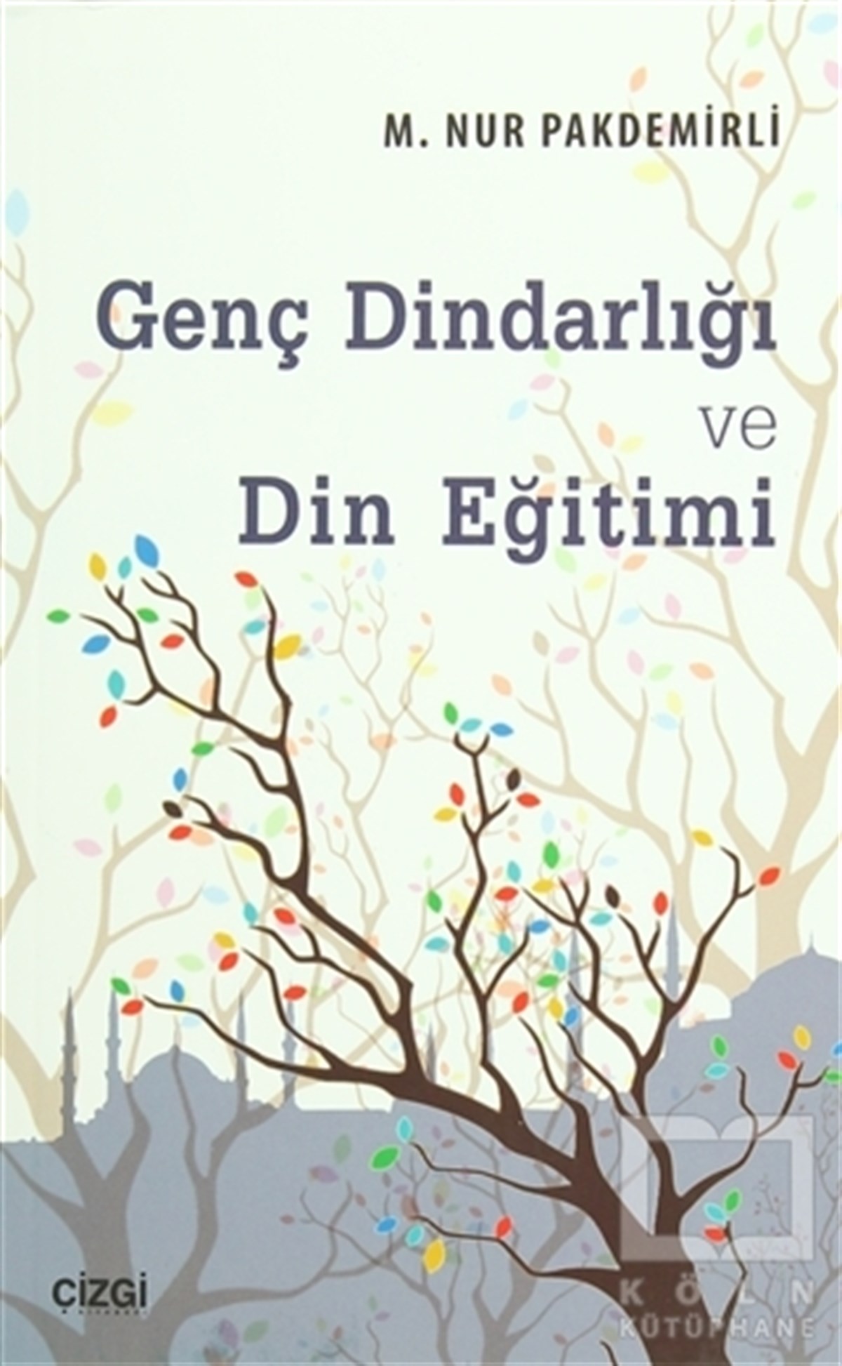 Nur PakdemirliDiğerGenç Dindarlığı ve Din Eğitimi