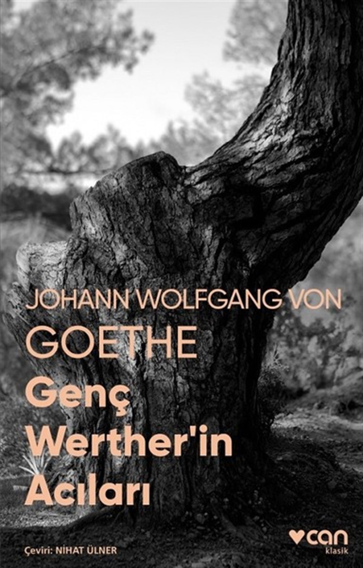 Johann Wolfgang von GoetheDünya KlasikleriGenç Werther'in Acıları-Fotoğraflı Klasik