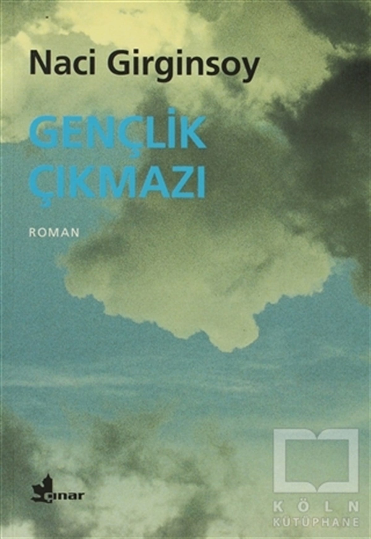 Naci GirginsoyTürk EdebiyatıGençlik Çıkmazı