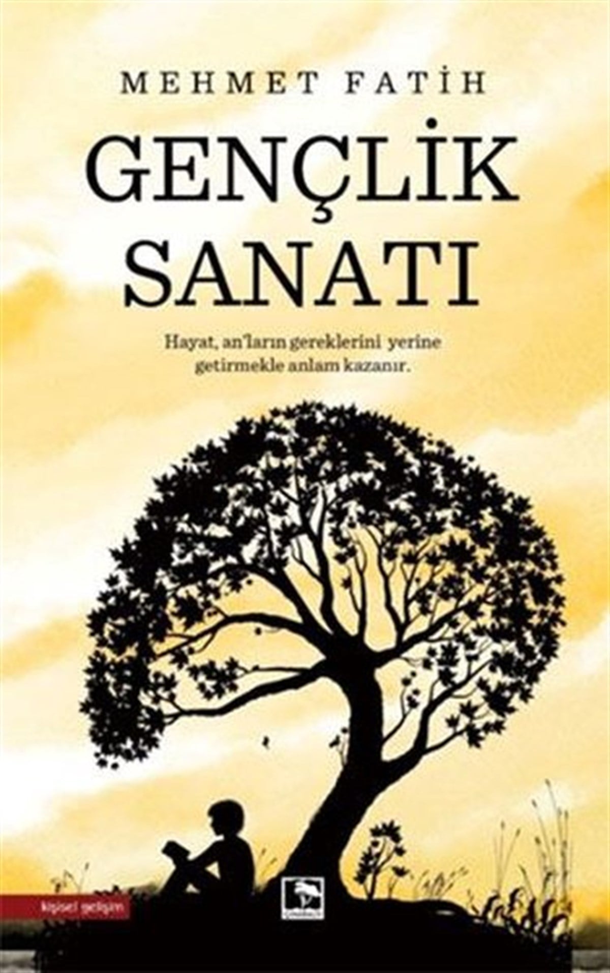 Mehmet FatihKişisel Gelişim KitaplarıGençlik Sanatı