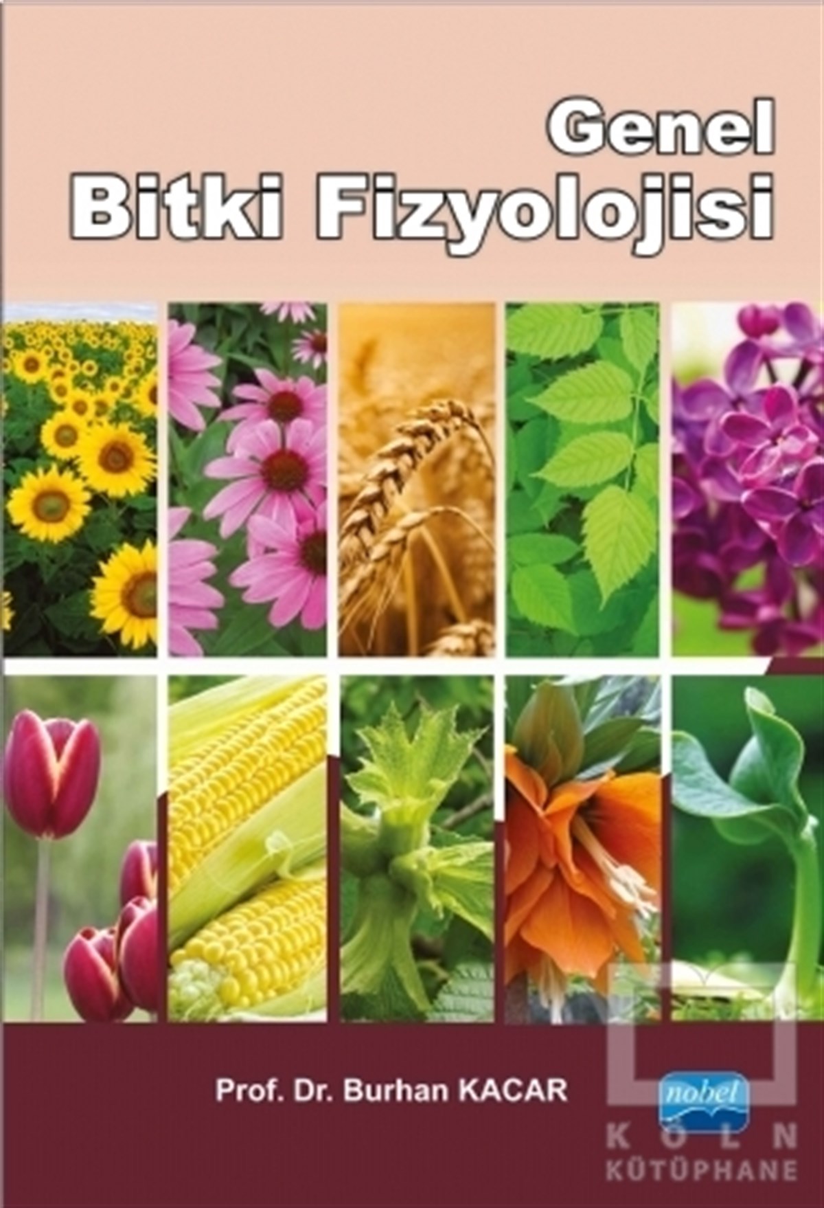 Burhan KacarAkademikGenel Bitki Fizyolojisi