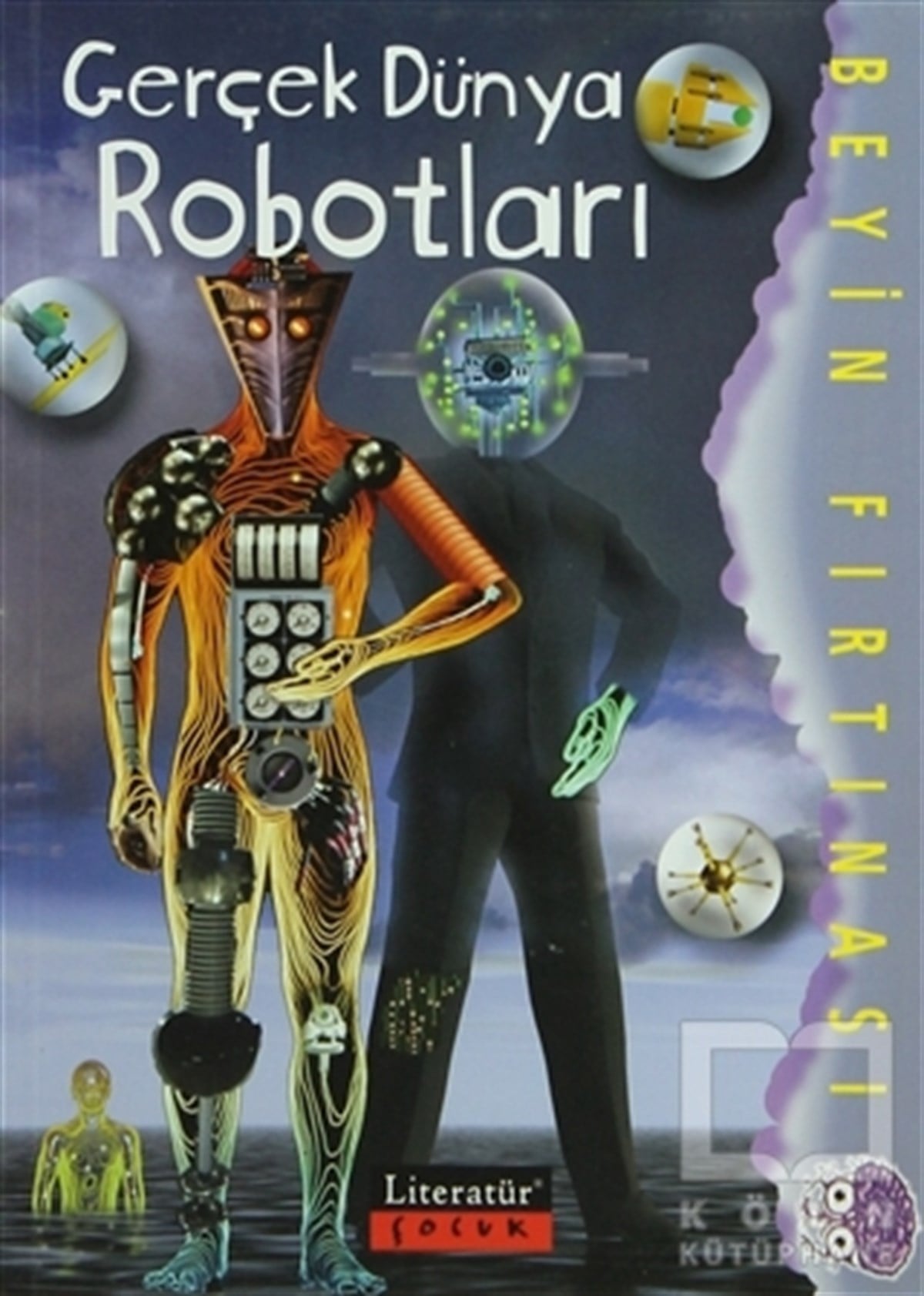 Paul McEvoyBilimsel KitaplarGerçek Dünya Robotları