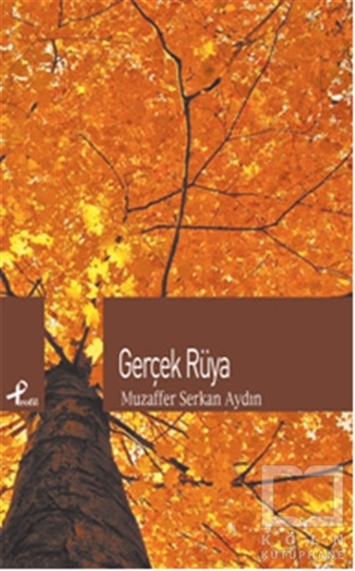 Muzaffer Serkan AydınŞiirGerçek Rüya