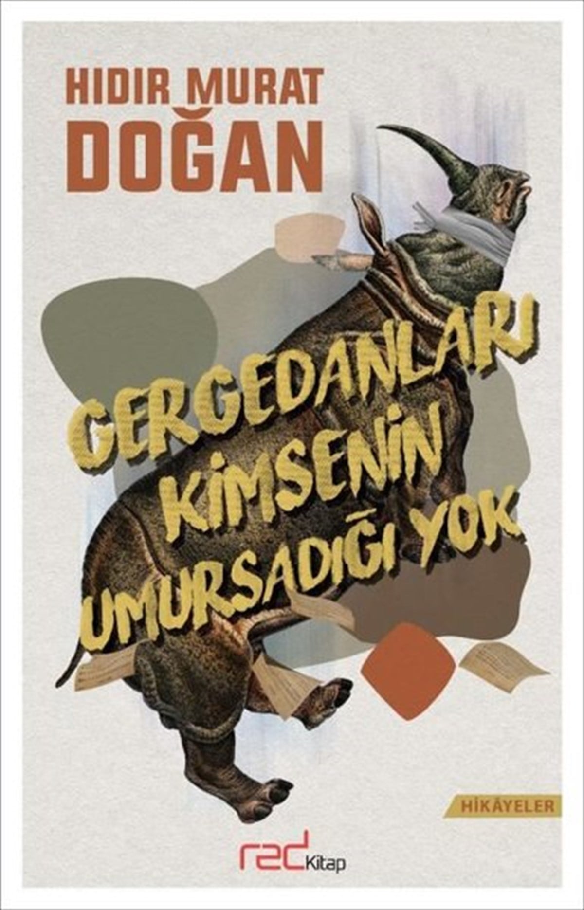 Hıdır Murat DoğanTürkiye RomanGergedanları Kimsenin Umursadığı Yok