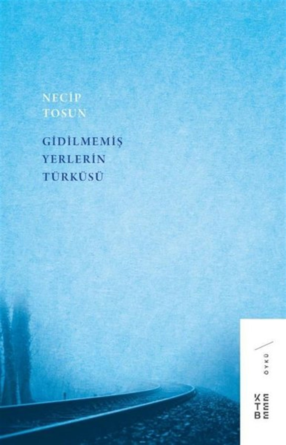 Necip TosunTürkiye RomanGidilmemiş Yerlerin Türküsü