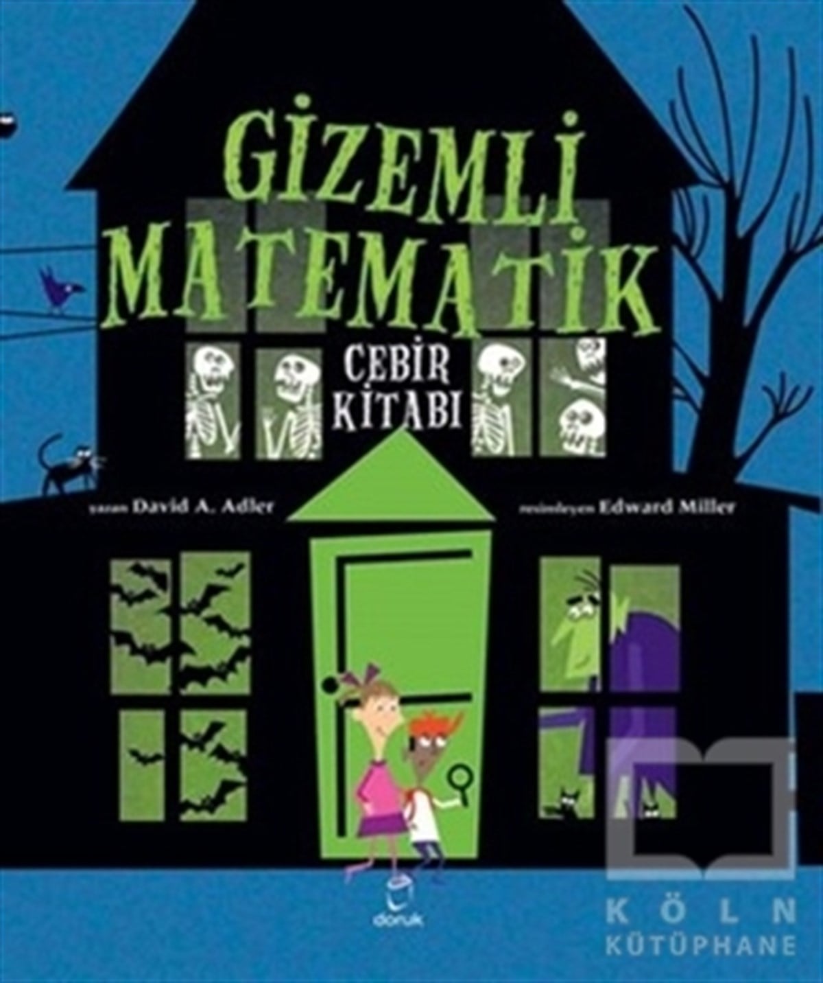 David A. AdlerBilimsel KitaplarGizemli Matematik