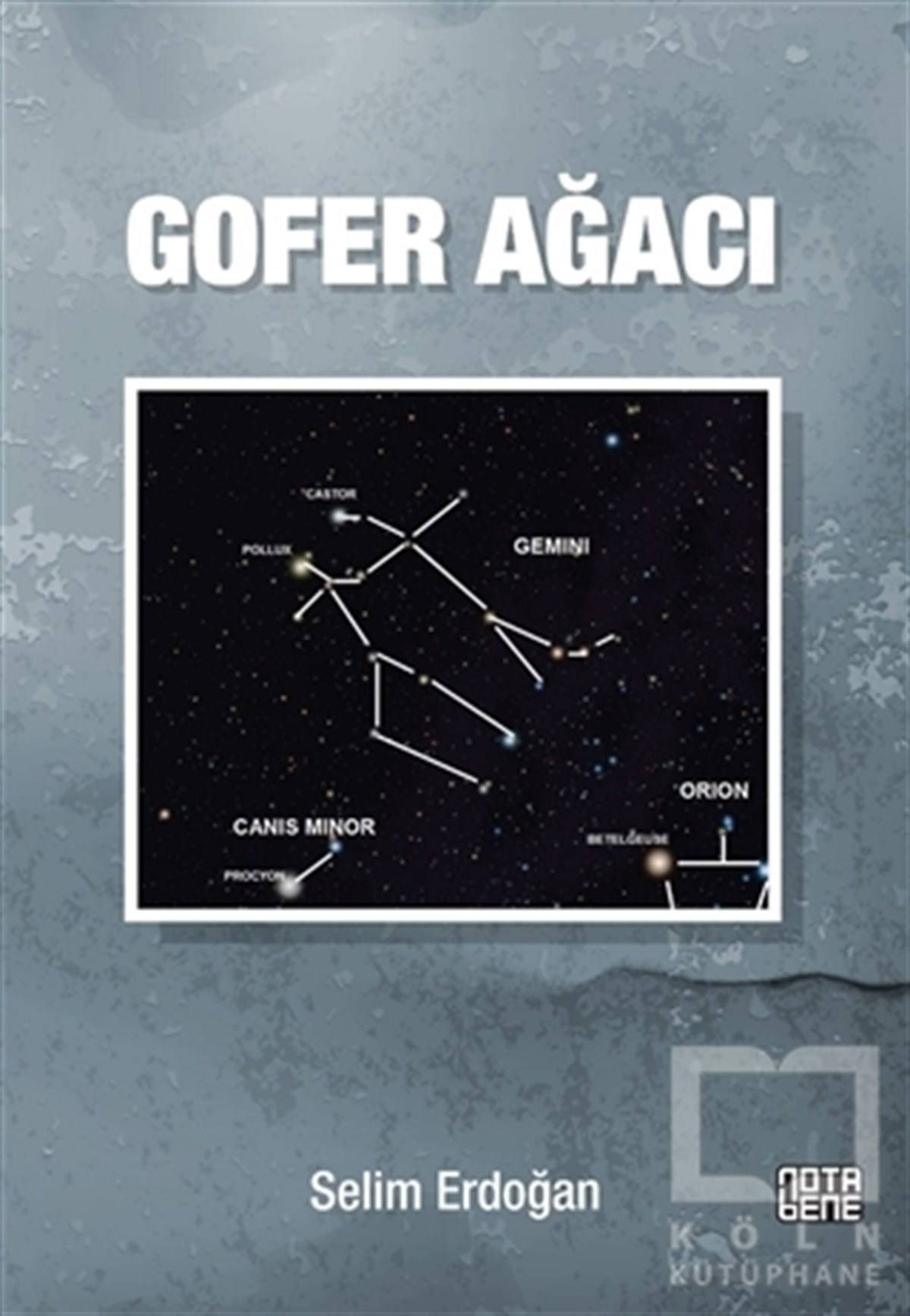 Selim ErdoğanBilimkurguGofer Ağacı