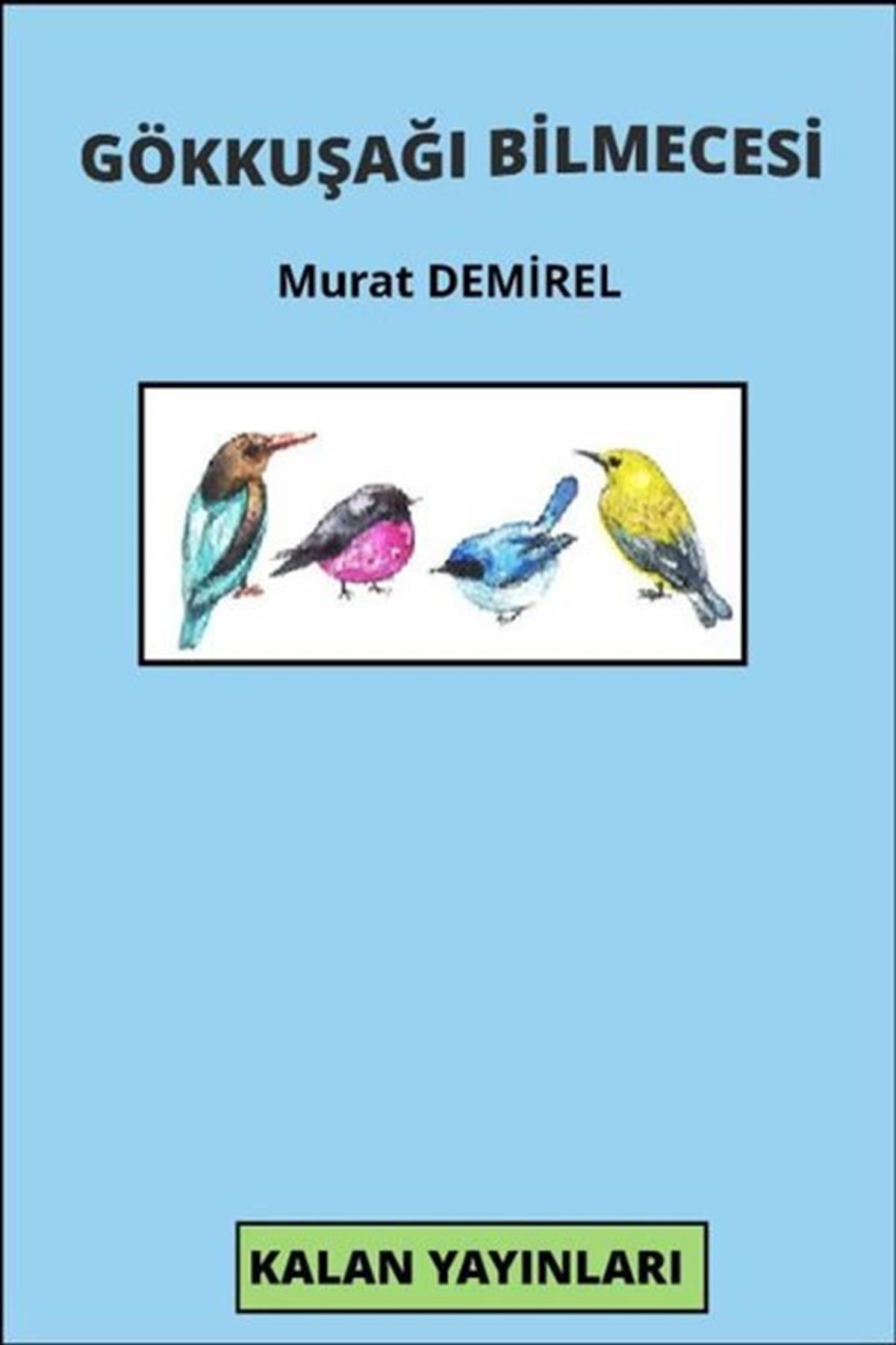 Murat DemirelTürk ŞiiriGökkuşağı Bilmecesi