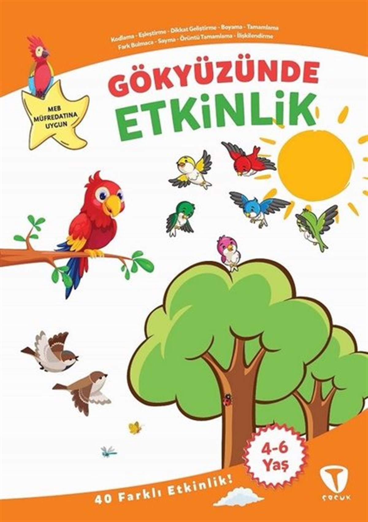 Fatma Hazan TürkkolEgitim Etkinlik KitaplariGökyüzünde Etkinlik