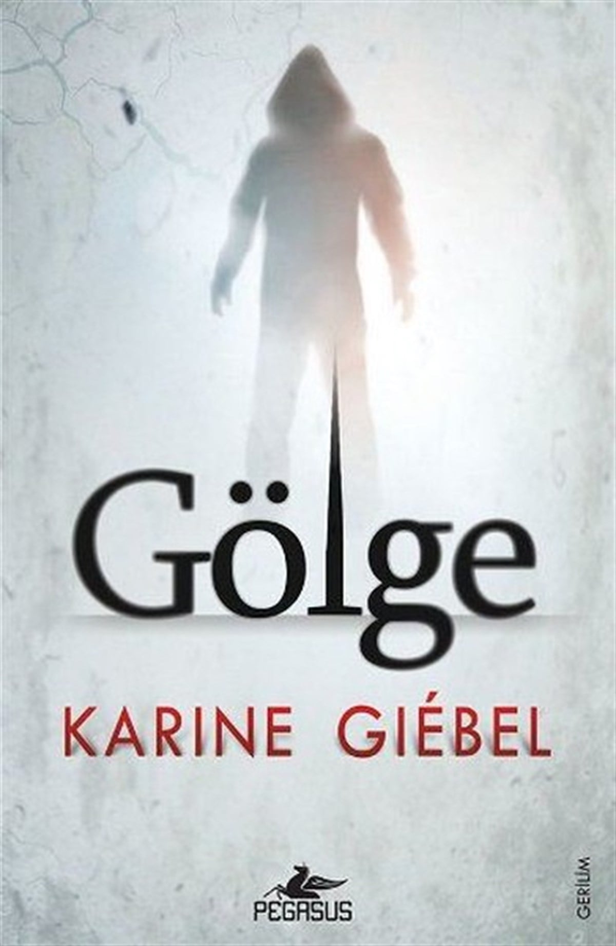 Karine GiebelKorku Kitapları & Gerilim KitaplarıGölge