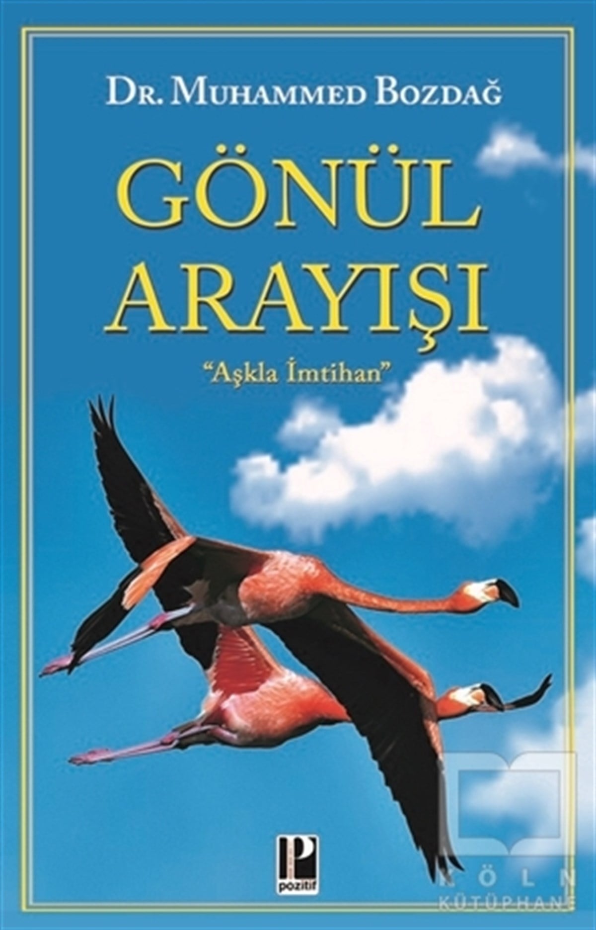 Muhammed BozdağKadın - Erkek İlişkileri KitaplarıGönül Arayışı