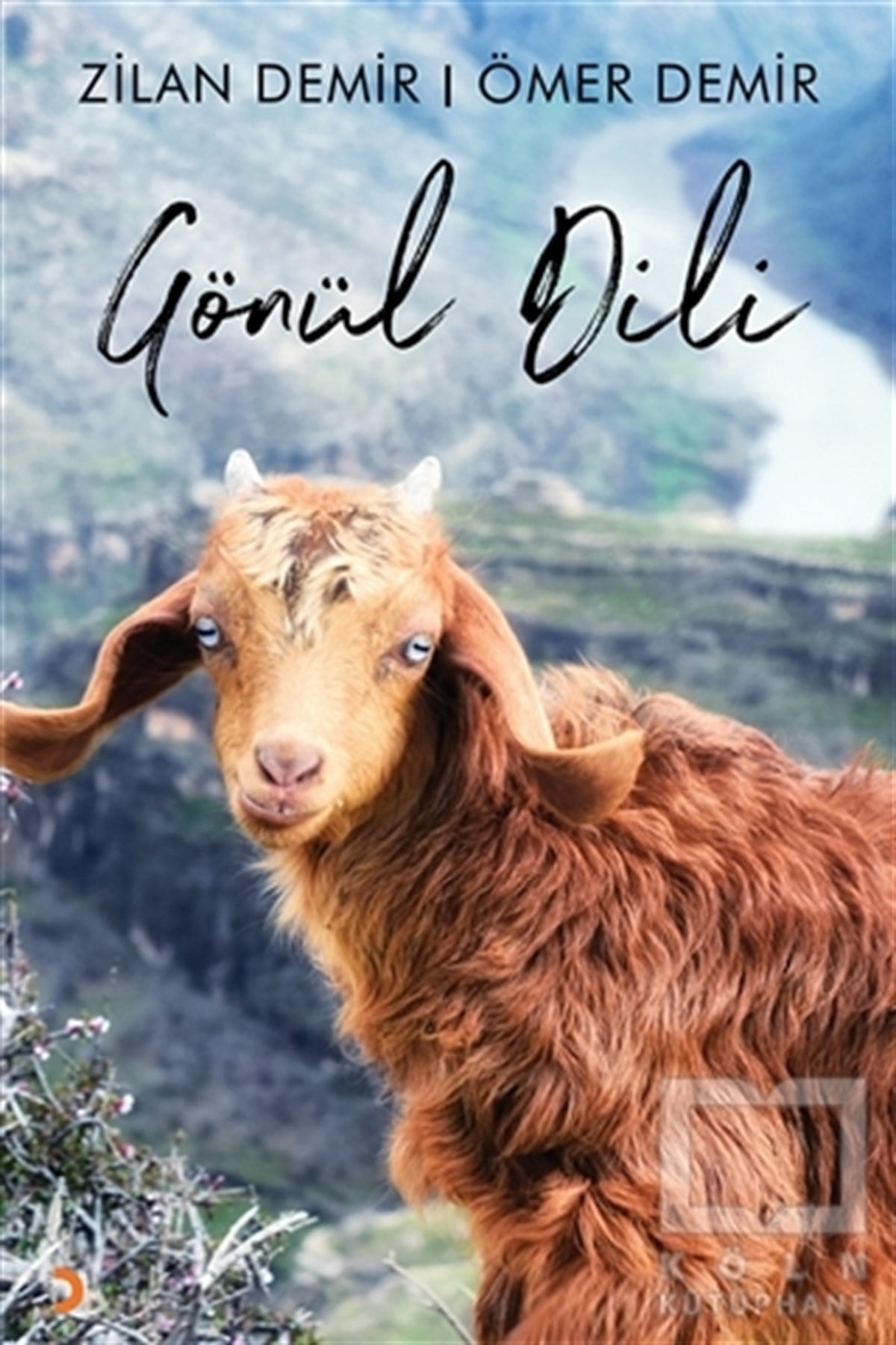 Zilan DemirTürkçe Şiir KitaplarıGönül Dili