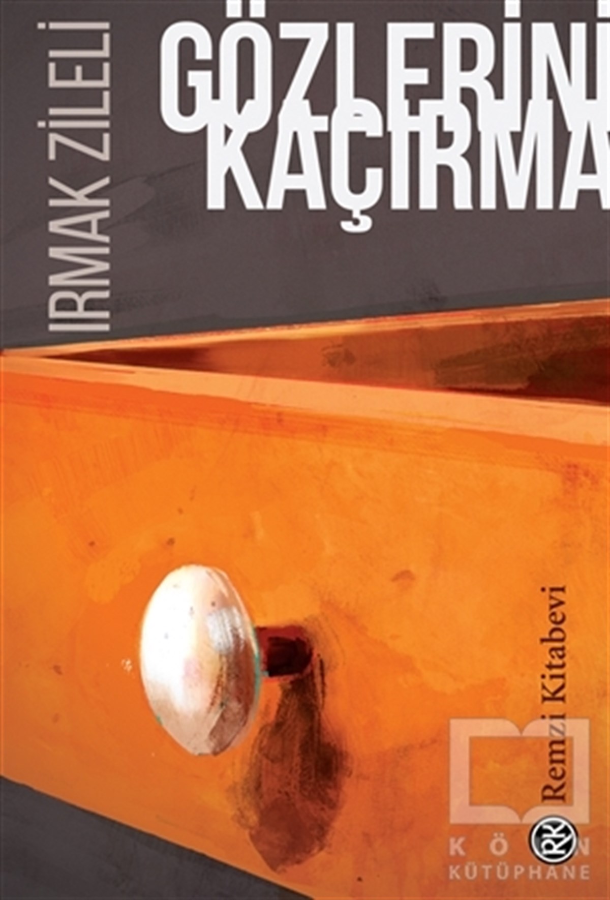 Irmak ZileliRomanGözlerini Kaçırma