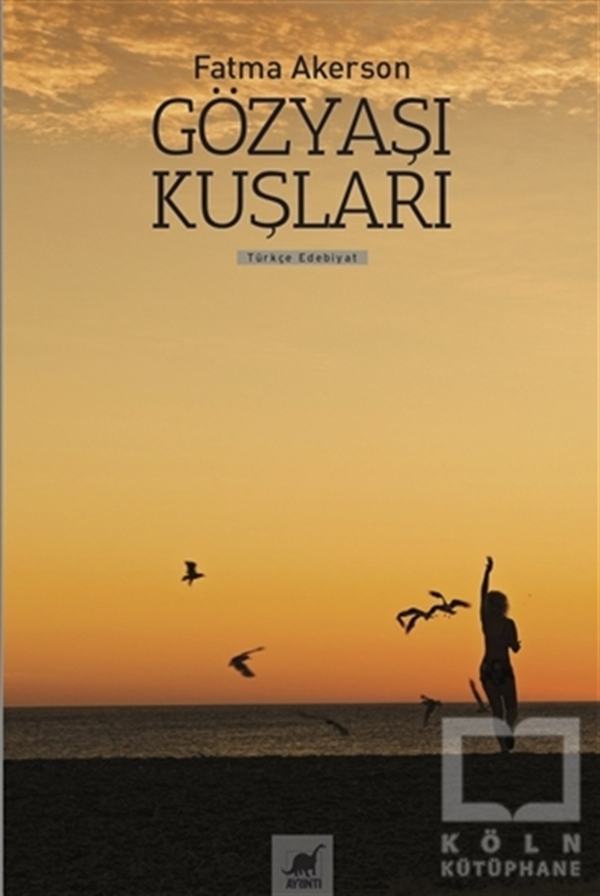 Fatma AkersonRomanGözyaşı Kuşları