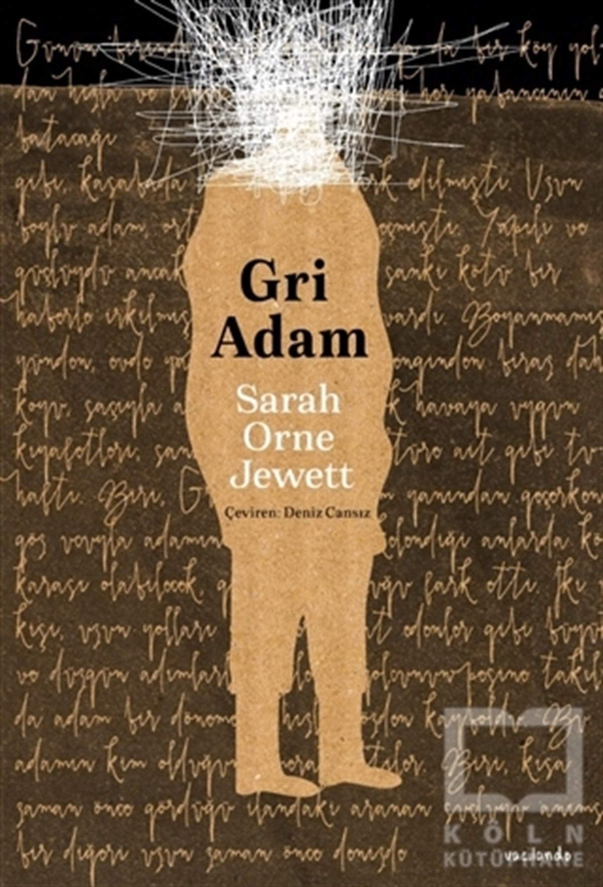Sarah Orne JewettHikaye (Öykü) KitaplarıGri Adam