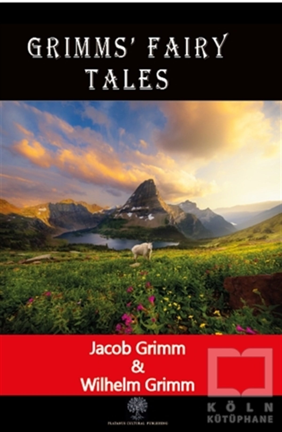 Jacob GrimmTürkçe RomanlarGrimms' Fairy Tales