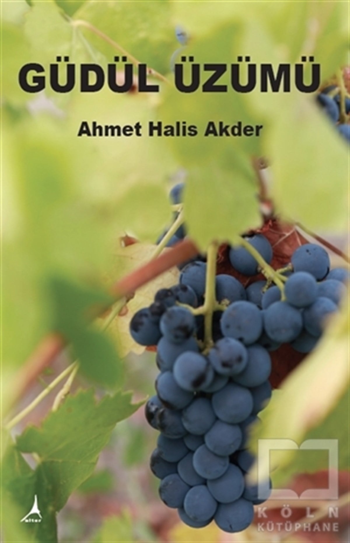 Ahmet Halis AkderDiğerGüdül Üzümü
