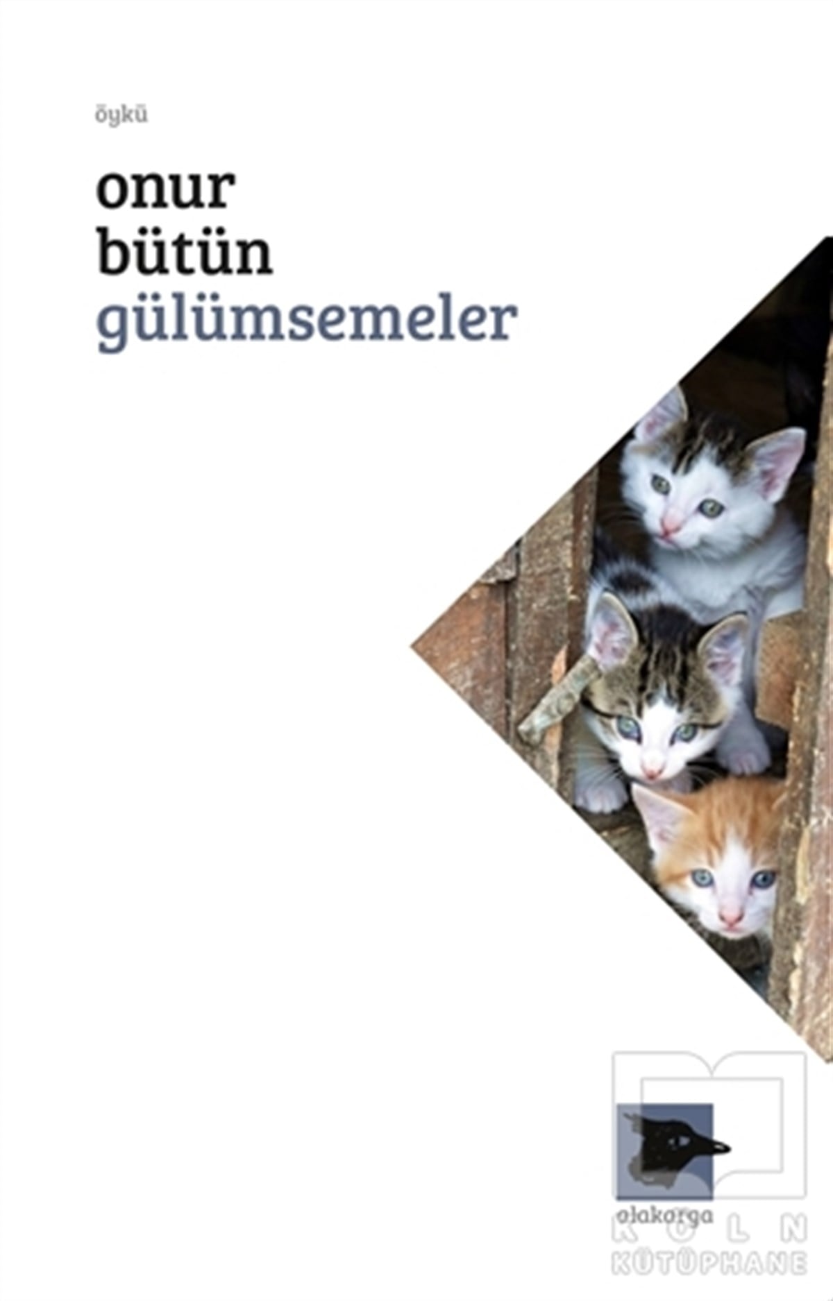 Onur BütünÖyküGülümsemeler