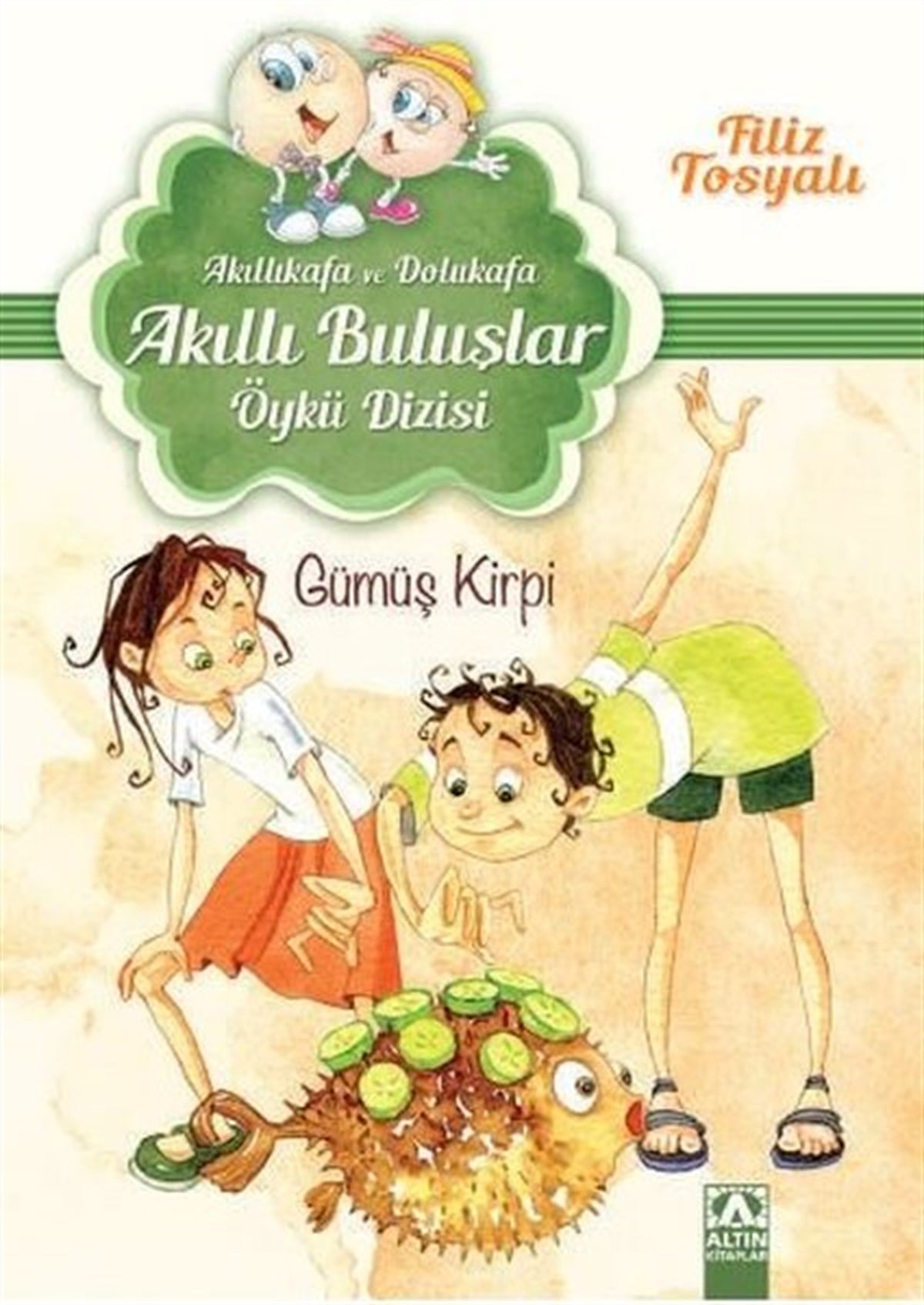 Filiz TosyalıÇocuk Gençlik RomanlarıGümüş Kirpi