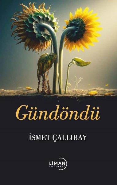 İsmet ÇallıbayHikaye (Öykü) KitaplarıGündöndü