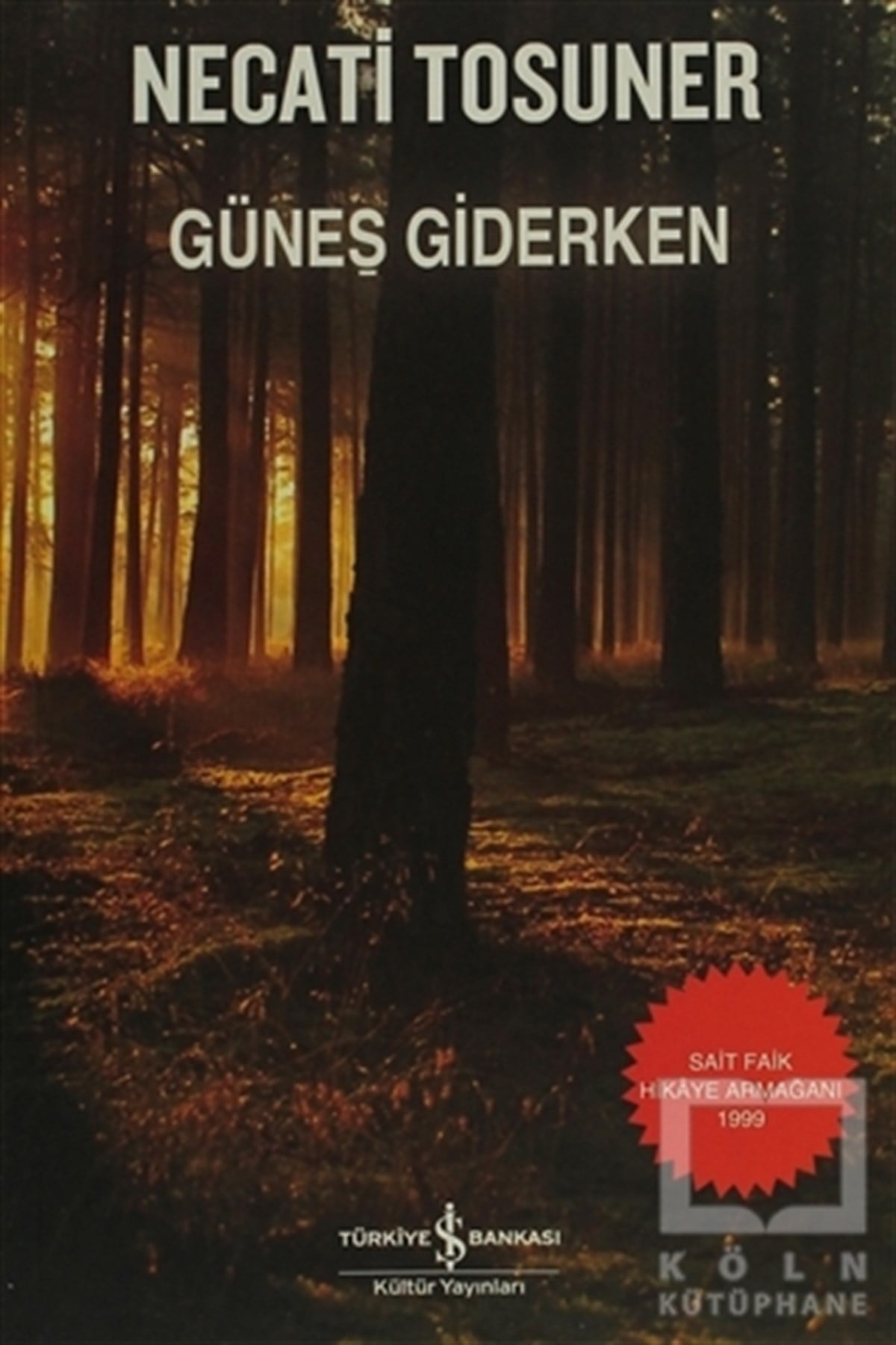 Necati TosunerTürk Edebiyatı KitaplarıGüneş Giderken