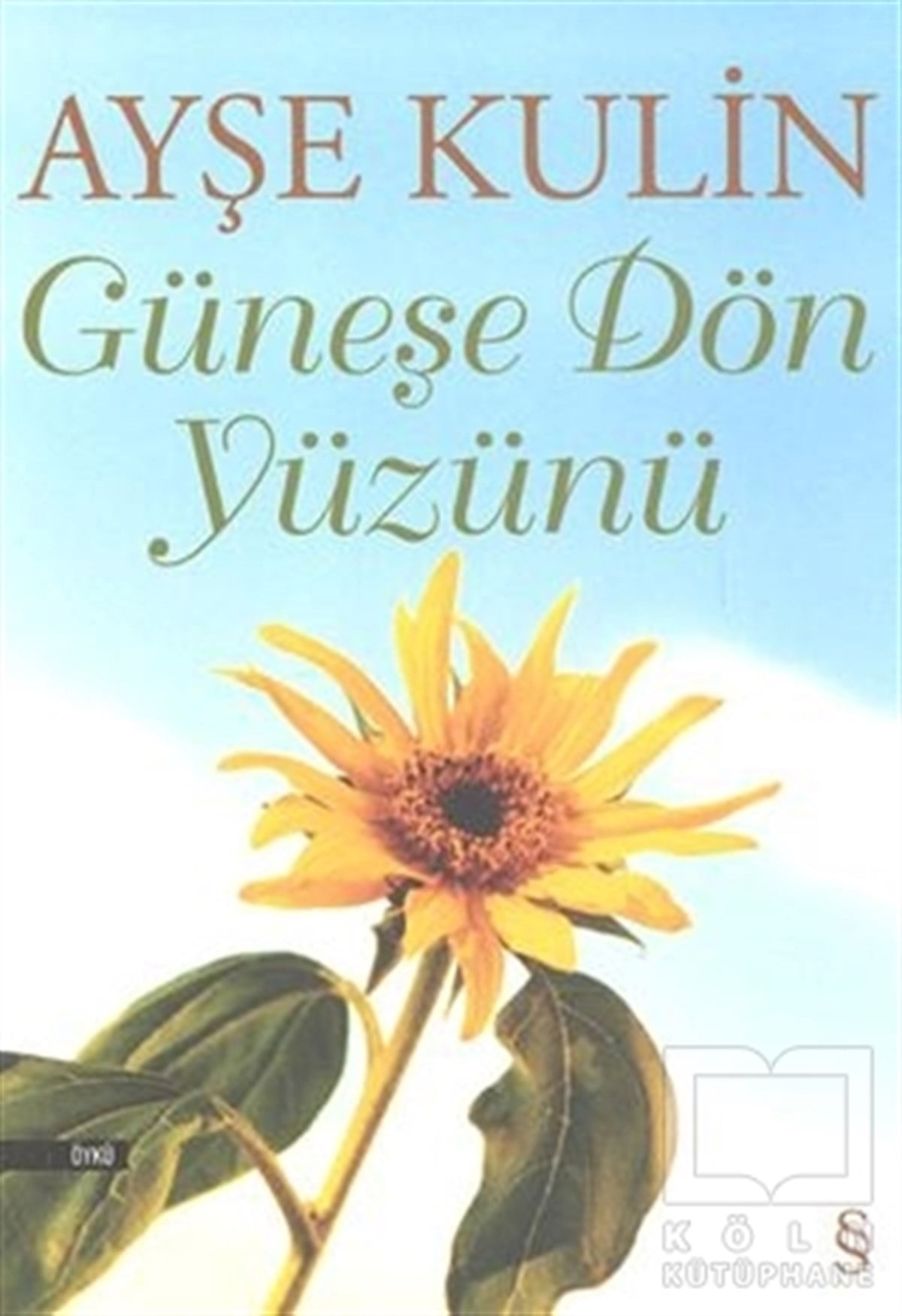 Ayşe KulinHikaye (Öykü) KitaplarıGüneşe Dön Yüzünü