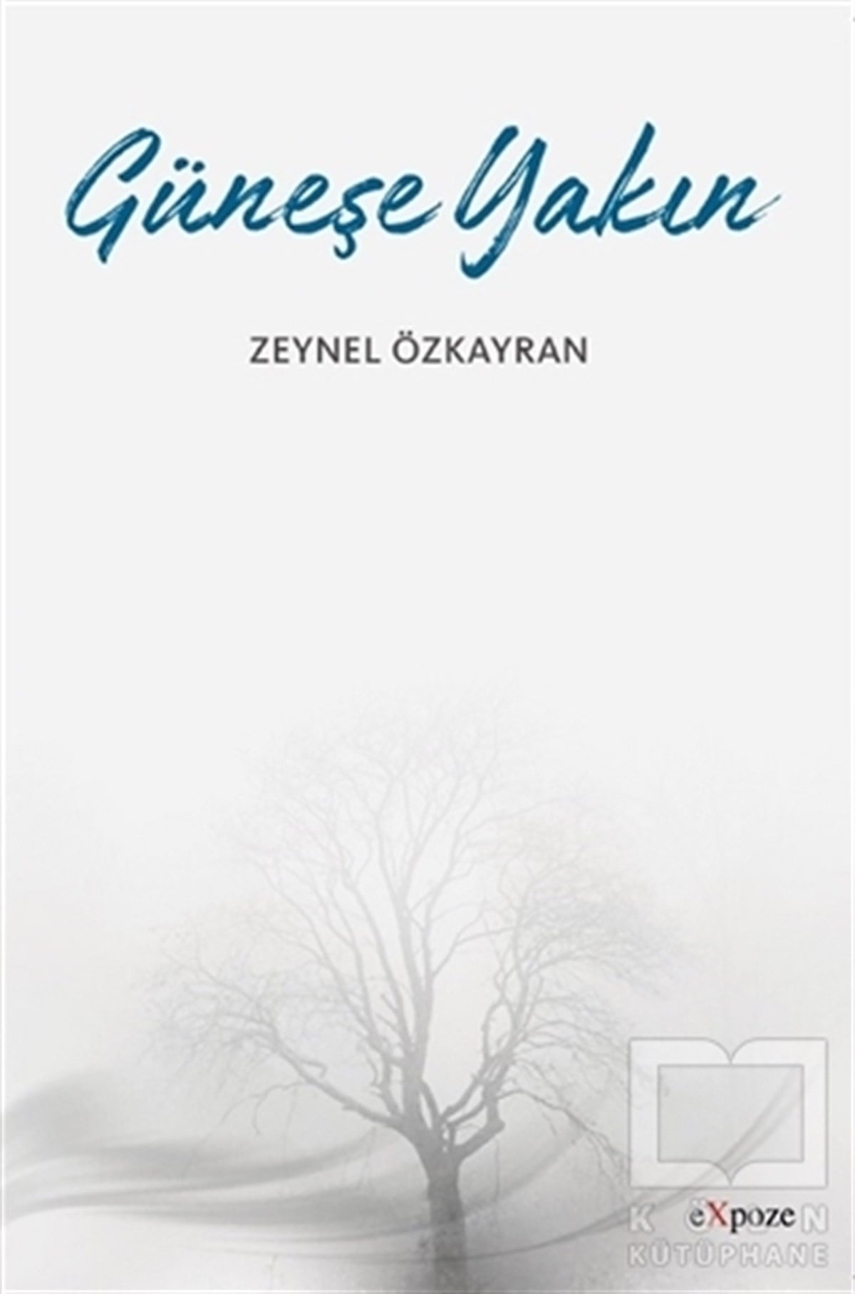 Zeynel ÖzkayranŞiirGüneşe Yakın