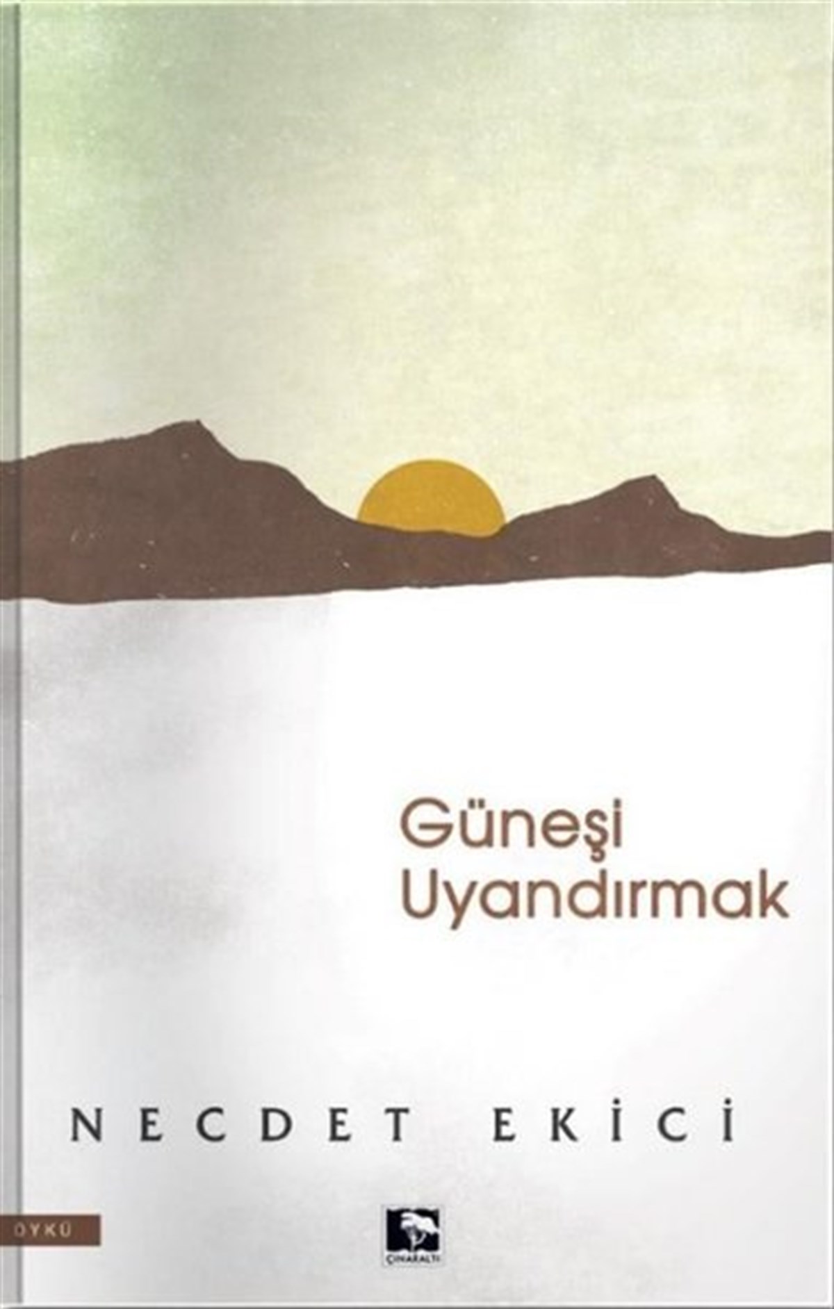 Necdet EkiciTürkiye RomanGüneşi Uyandırmak