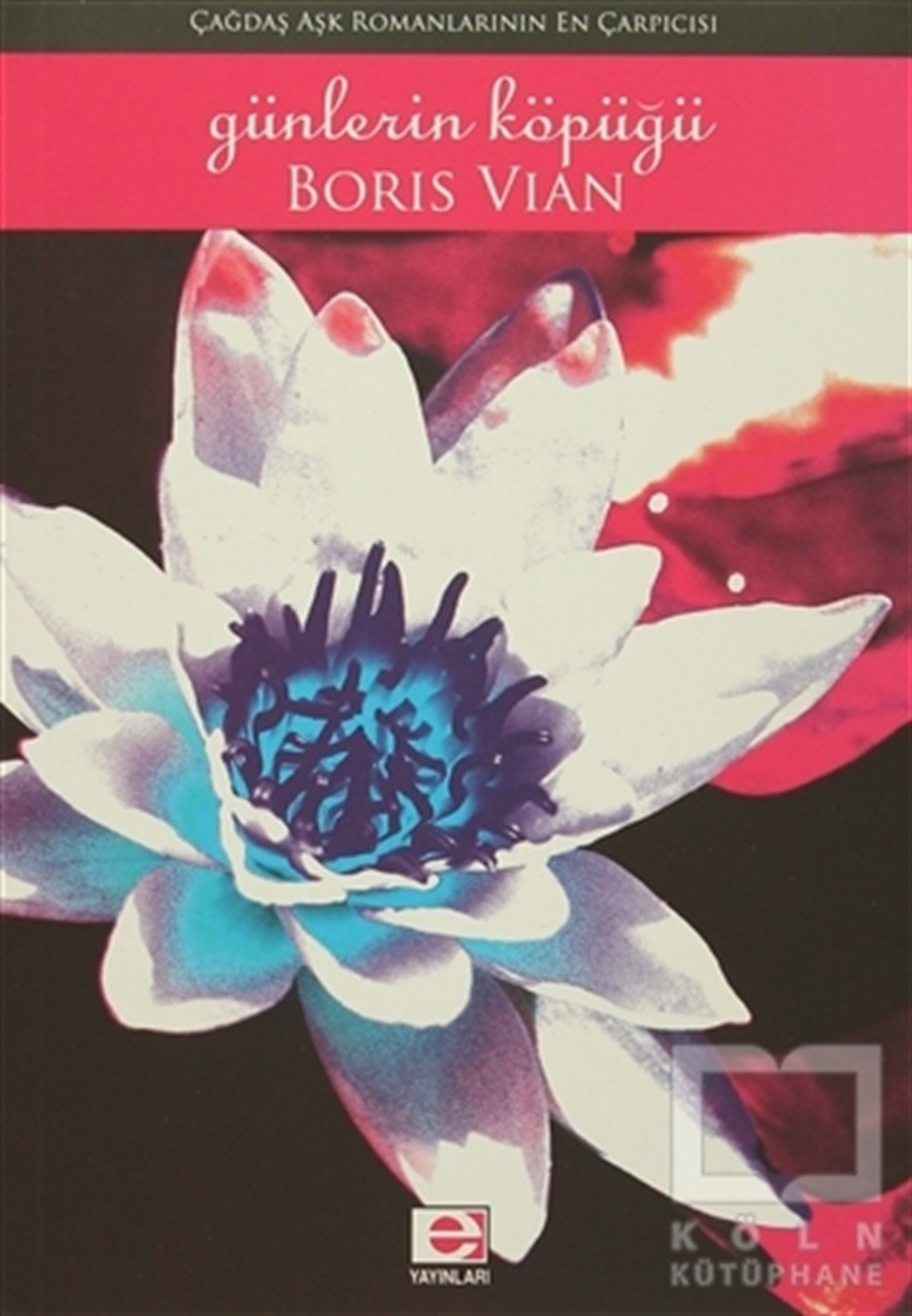 Boris VianAşkGünlerin Köpüğü