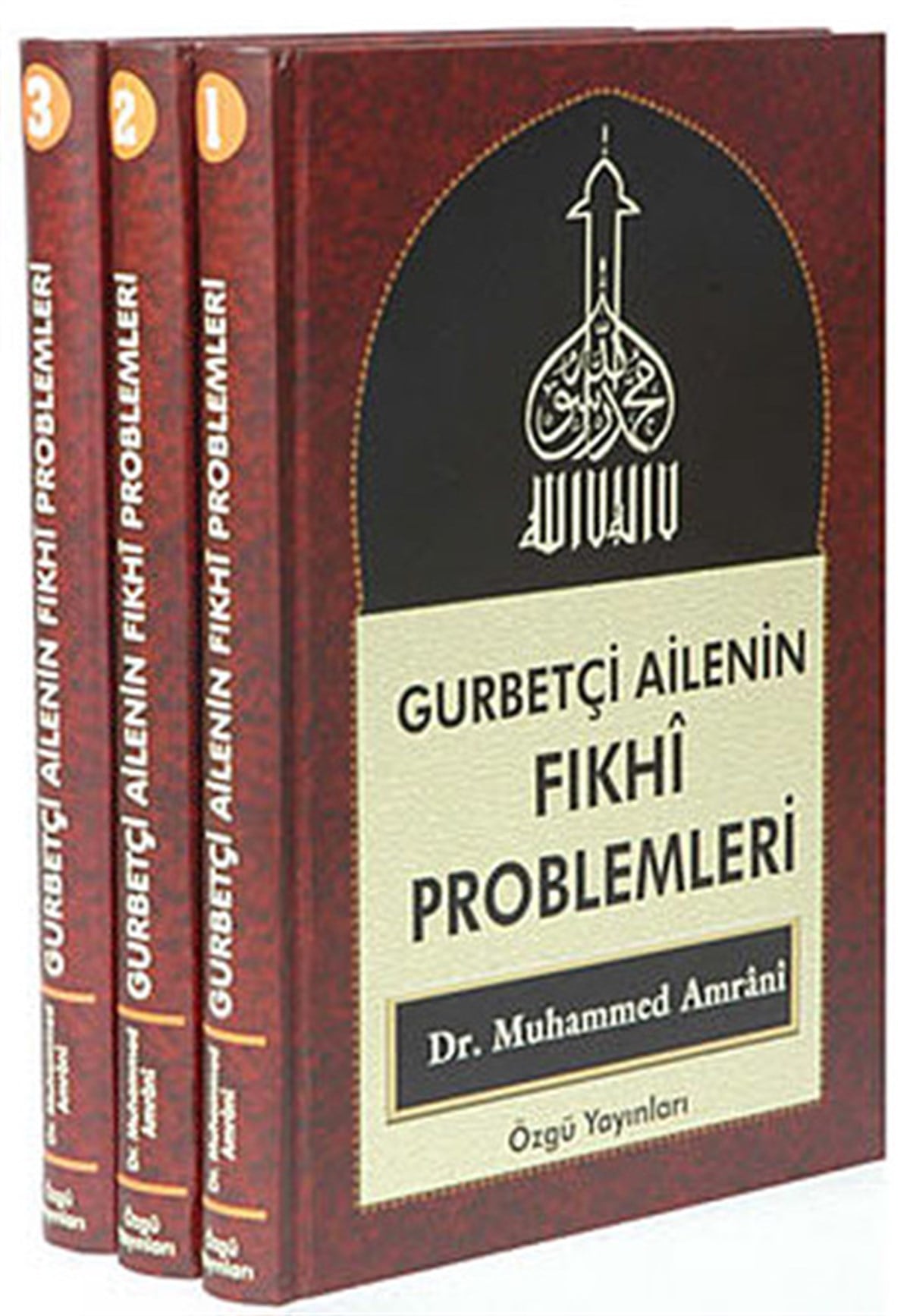 Ahmet İyibildirenİslami KitaplarGurbetçi Ailenin Fıkhi Problemleri (3 Cilt)