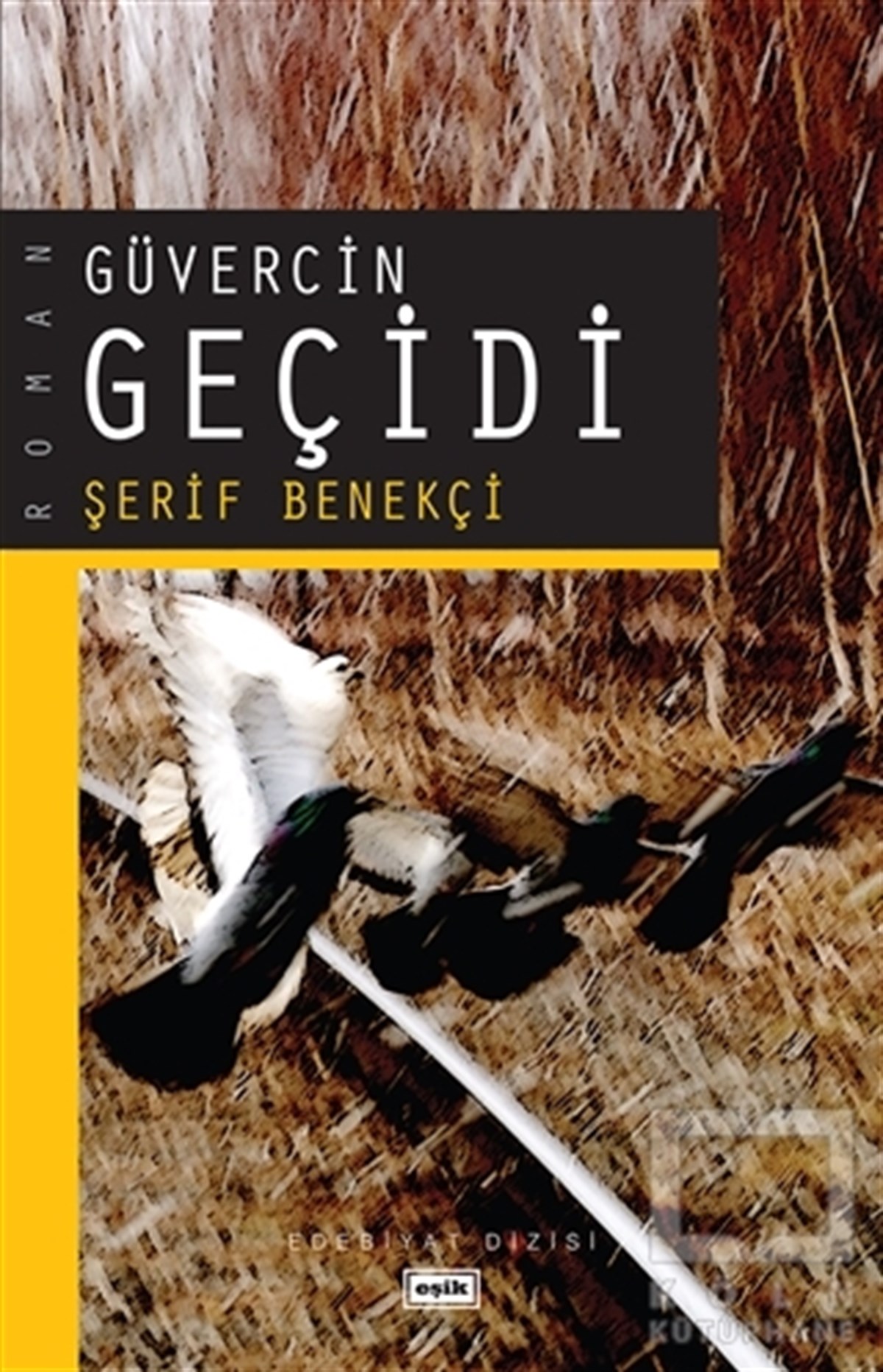 Şerif BenekçiRomanGüvercin Geçidi