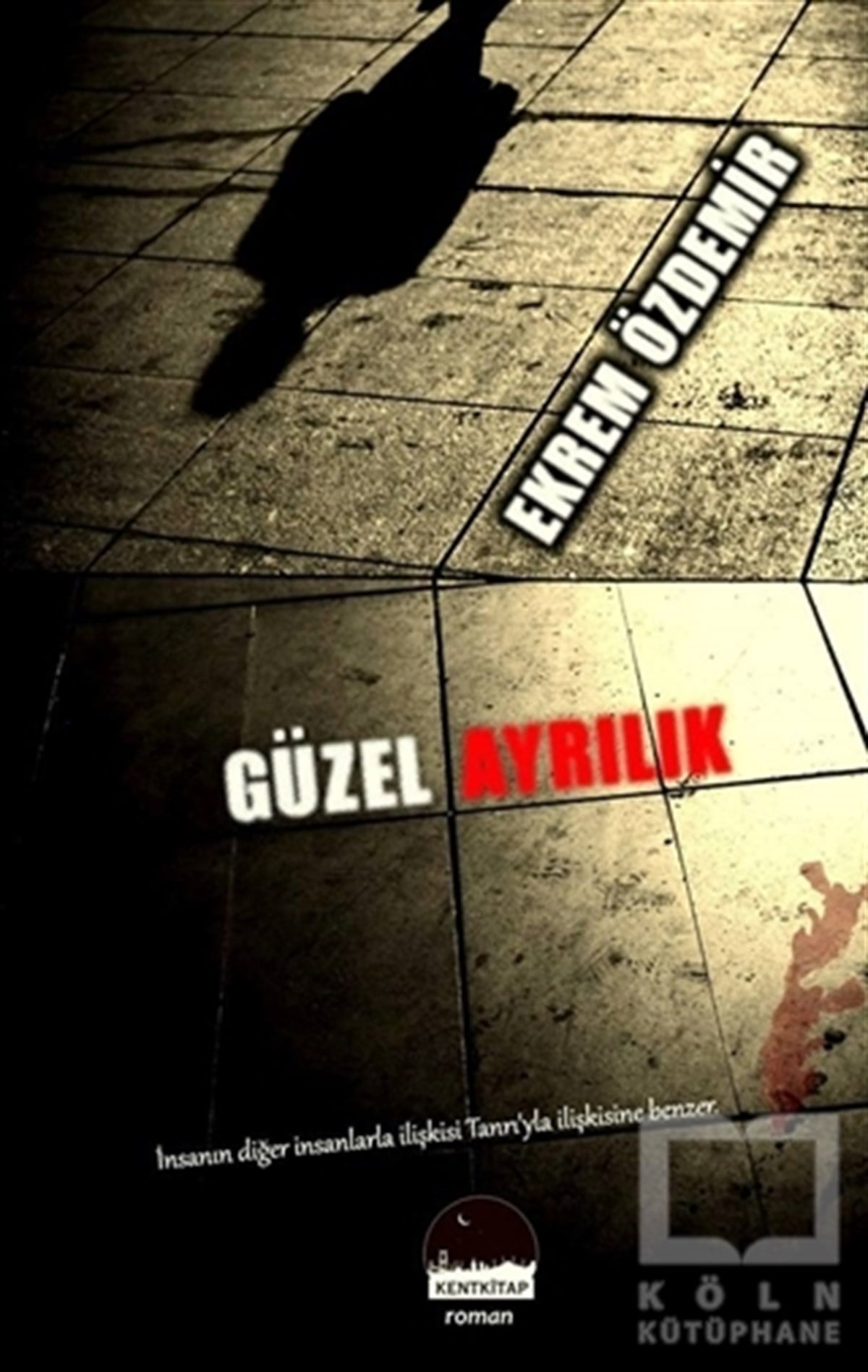 Ekrem ÖzdemirRomanGüzel Ayrılık