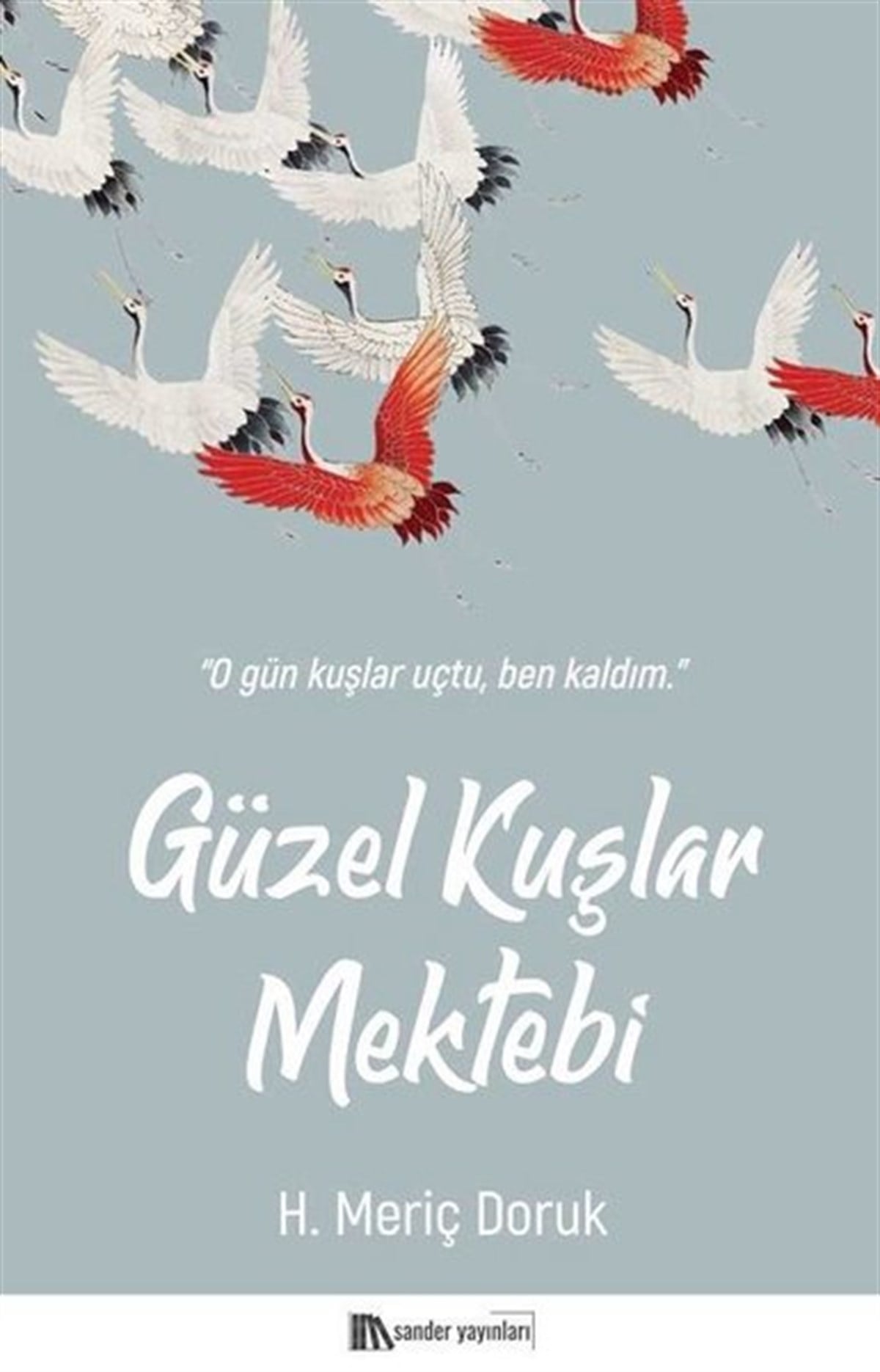 H. Meriç DorukTürkiye RomanGüzel Kuşlar Mektebi