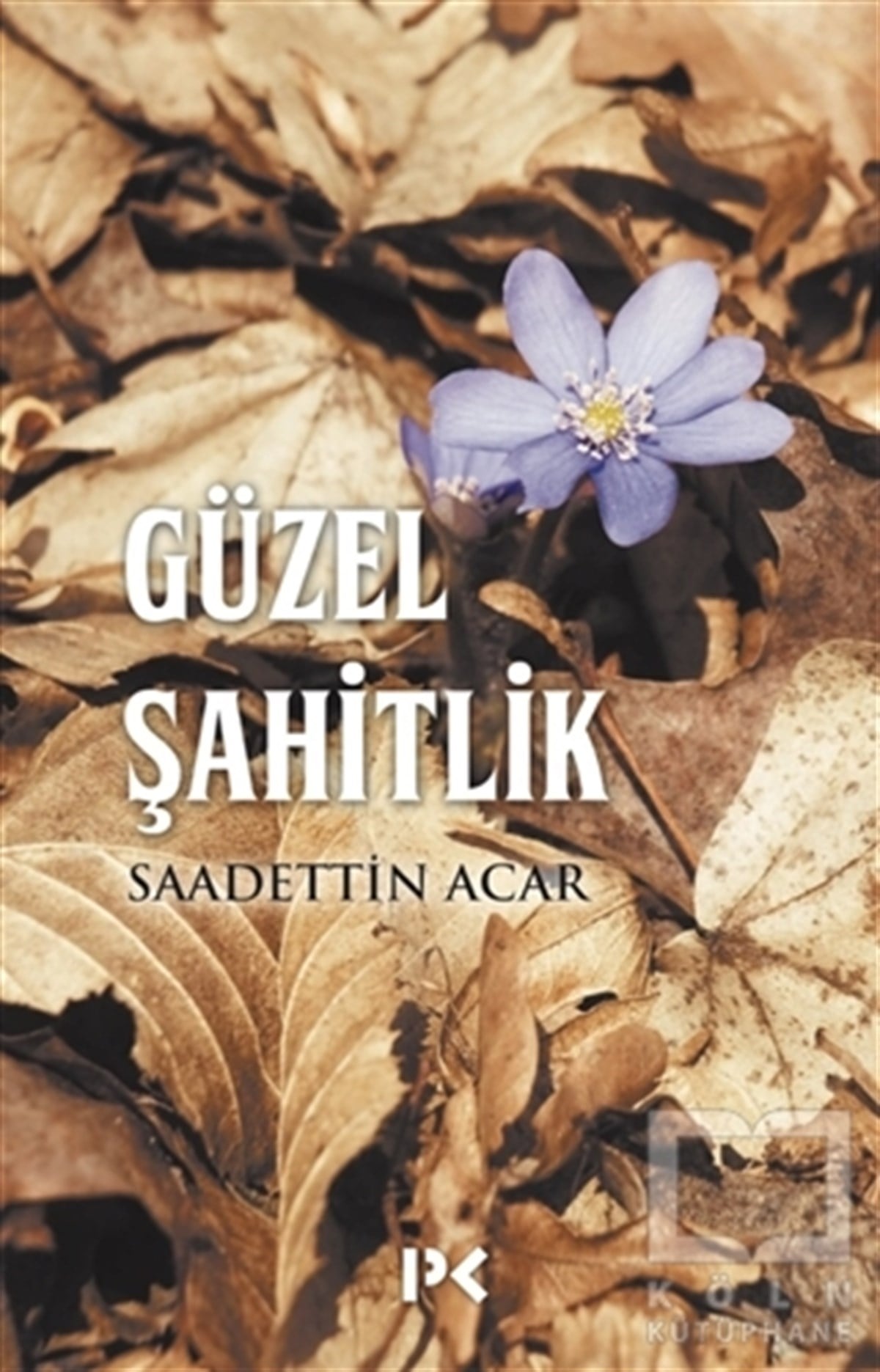 Saadettin AcarDenemeGüzel Şahitlik