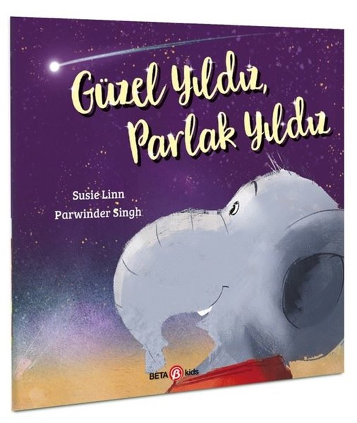 Susie LinnEgitim Etkinlik KitaplariGüzel Yıldız Parlak Yıldız