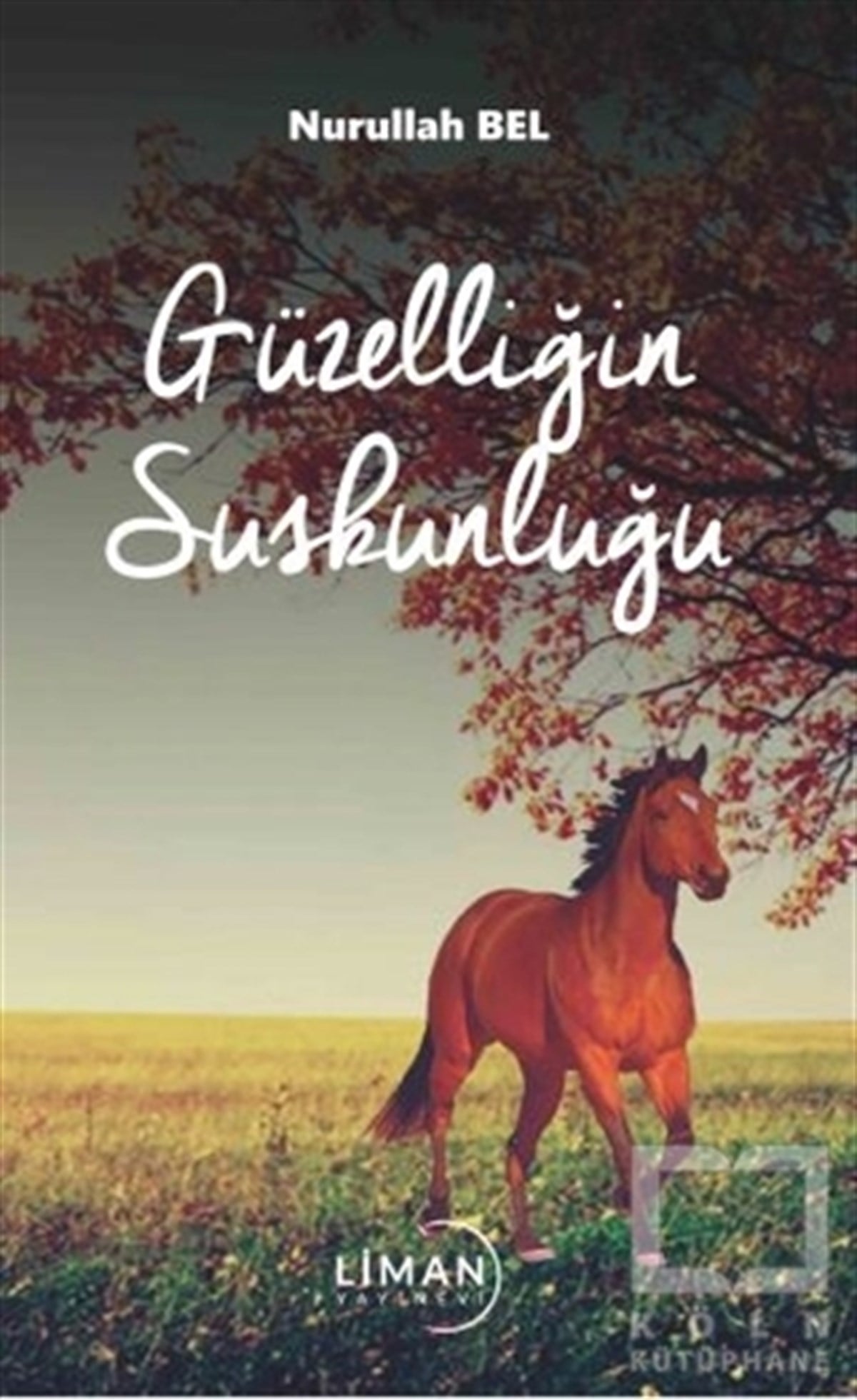 Nurullah BelTürkçe Şiir KitaplarıGüzelliğin Suskunluğu